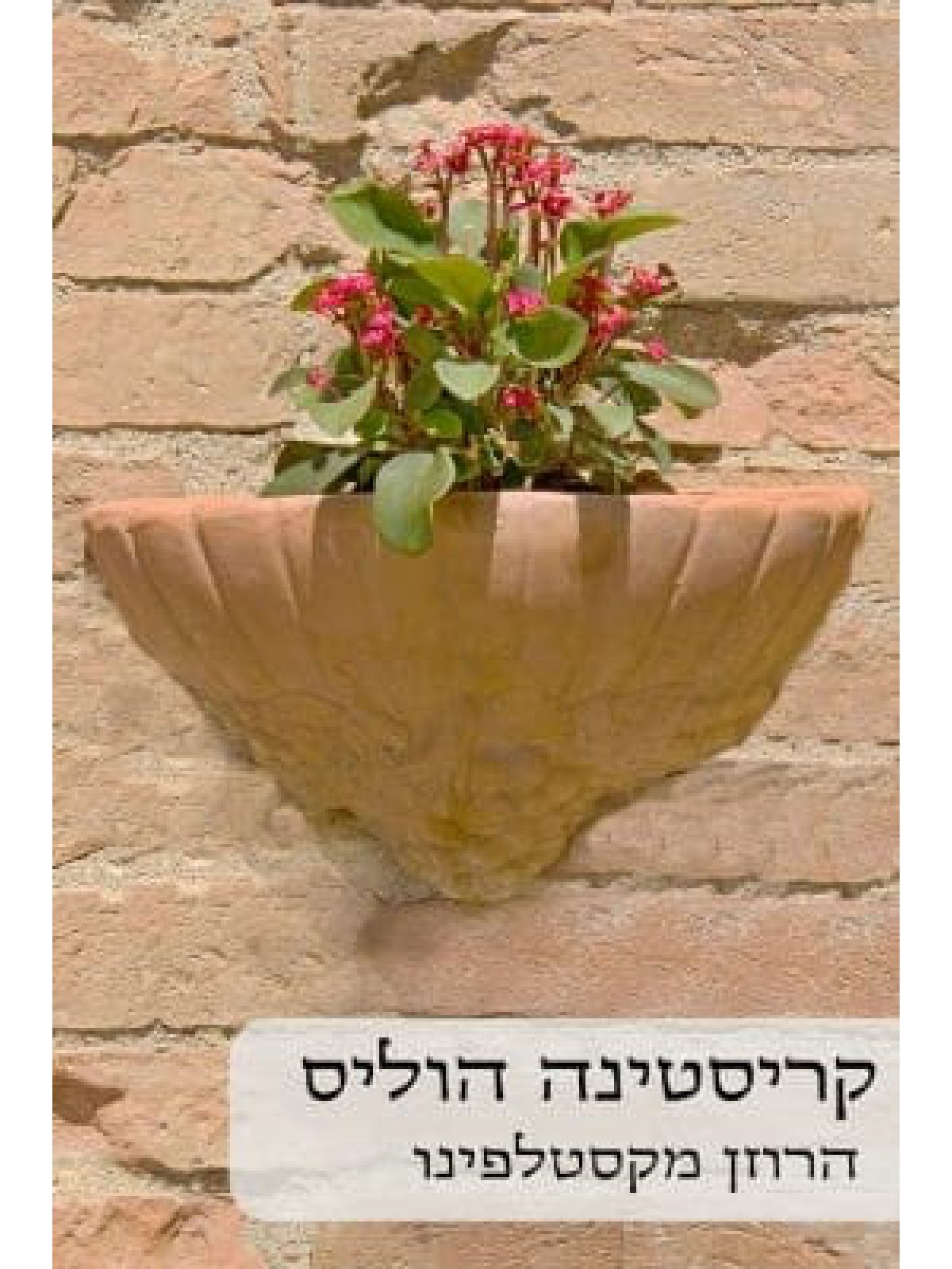 הרוזן מקסטלפינו                           484