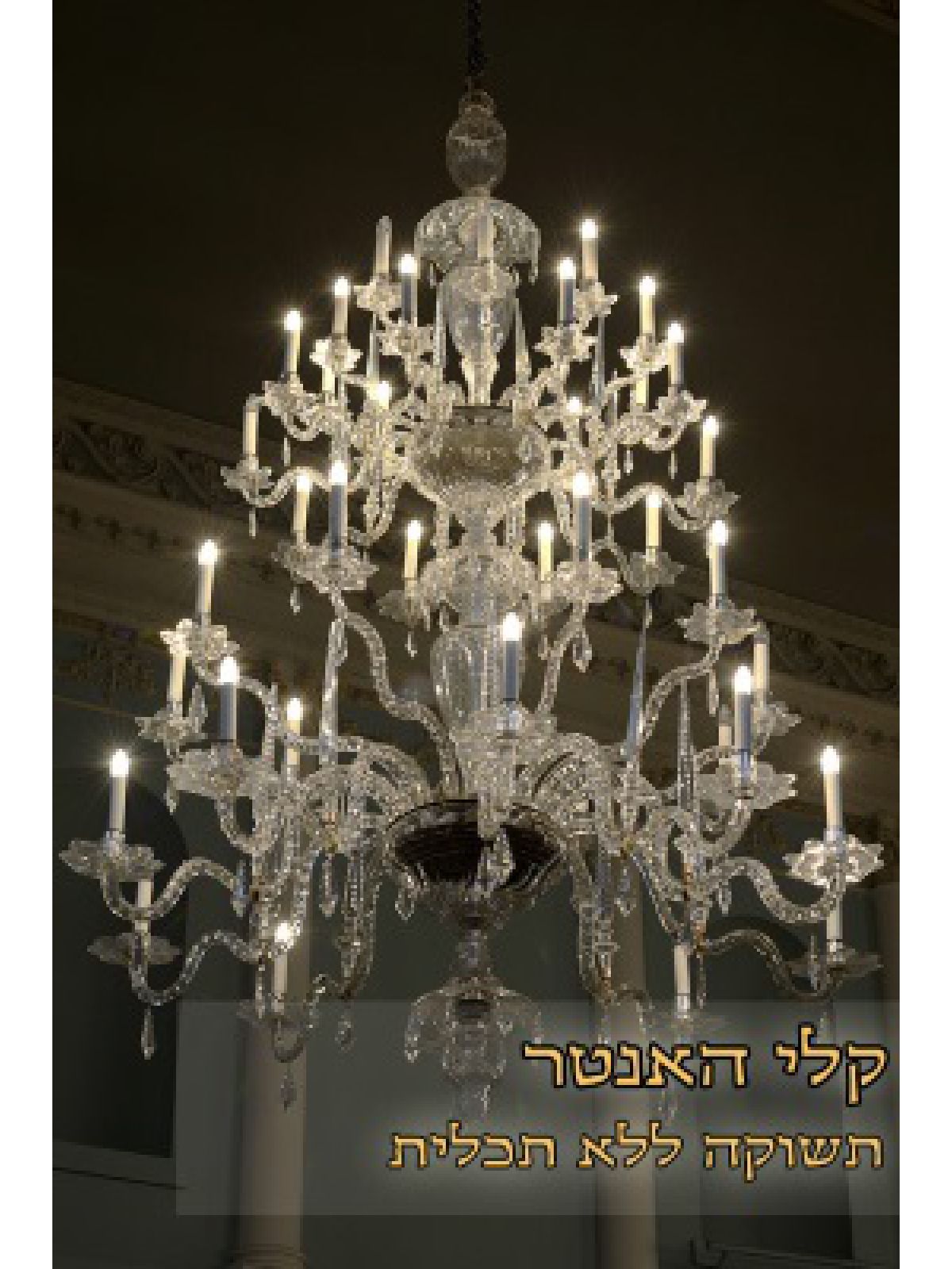 תשוקה ללא תכלית