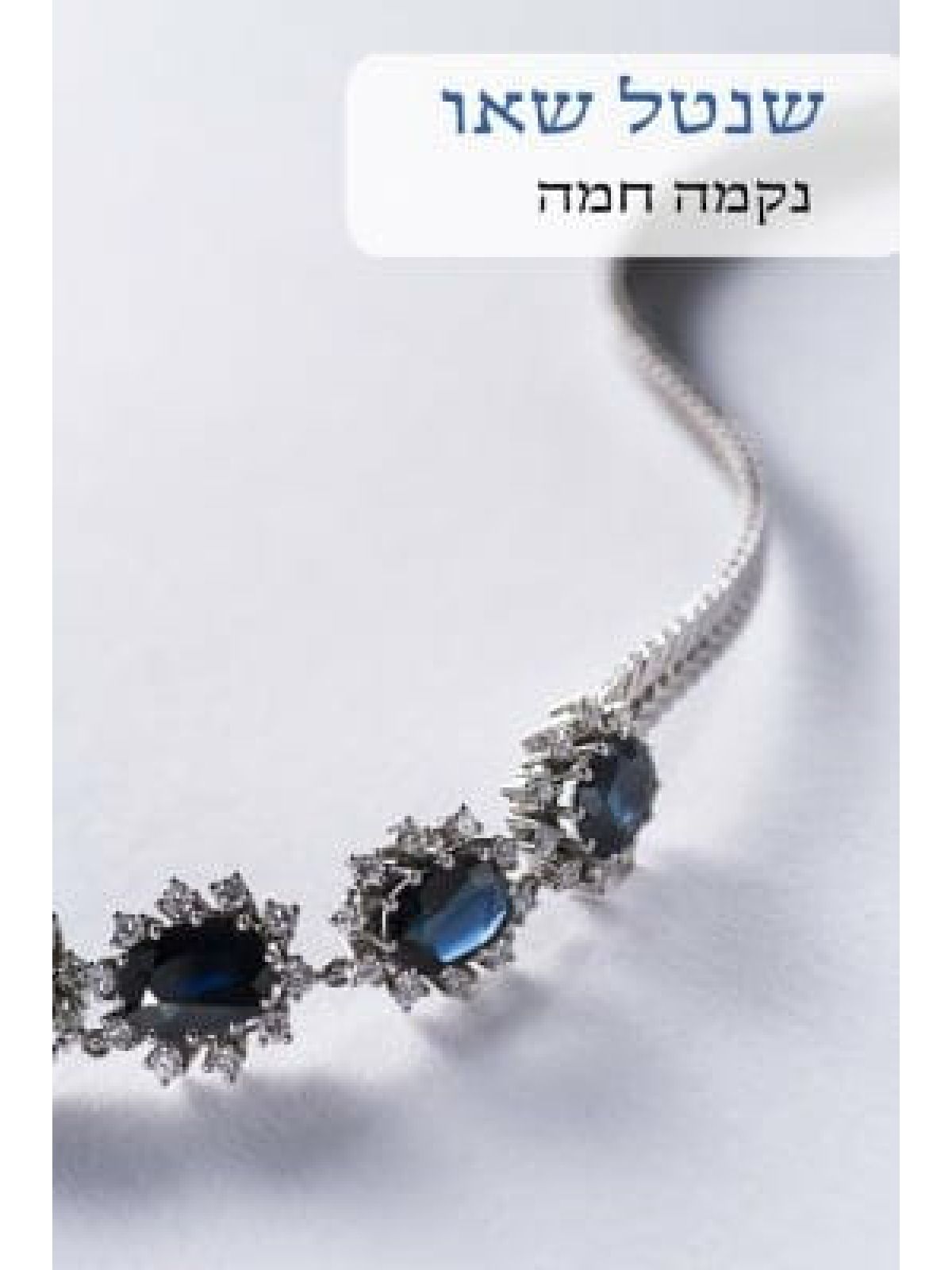 נקמה חמה                    519