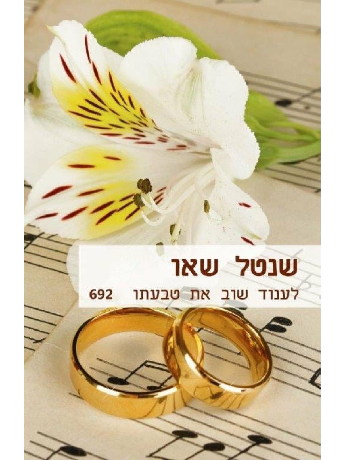 לענוד שוב את טבעתו