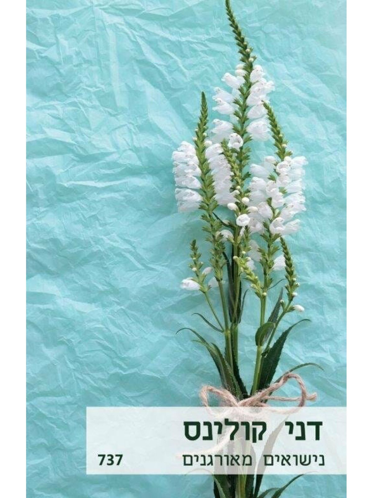 נישואים מאורגנים