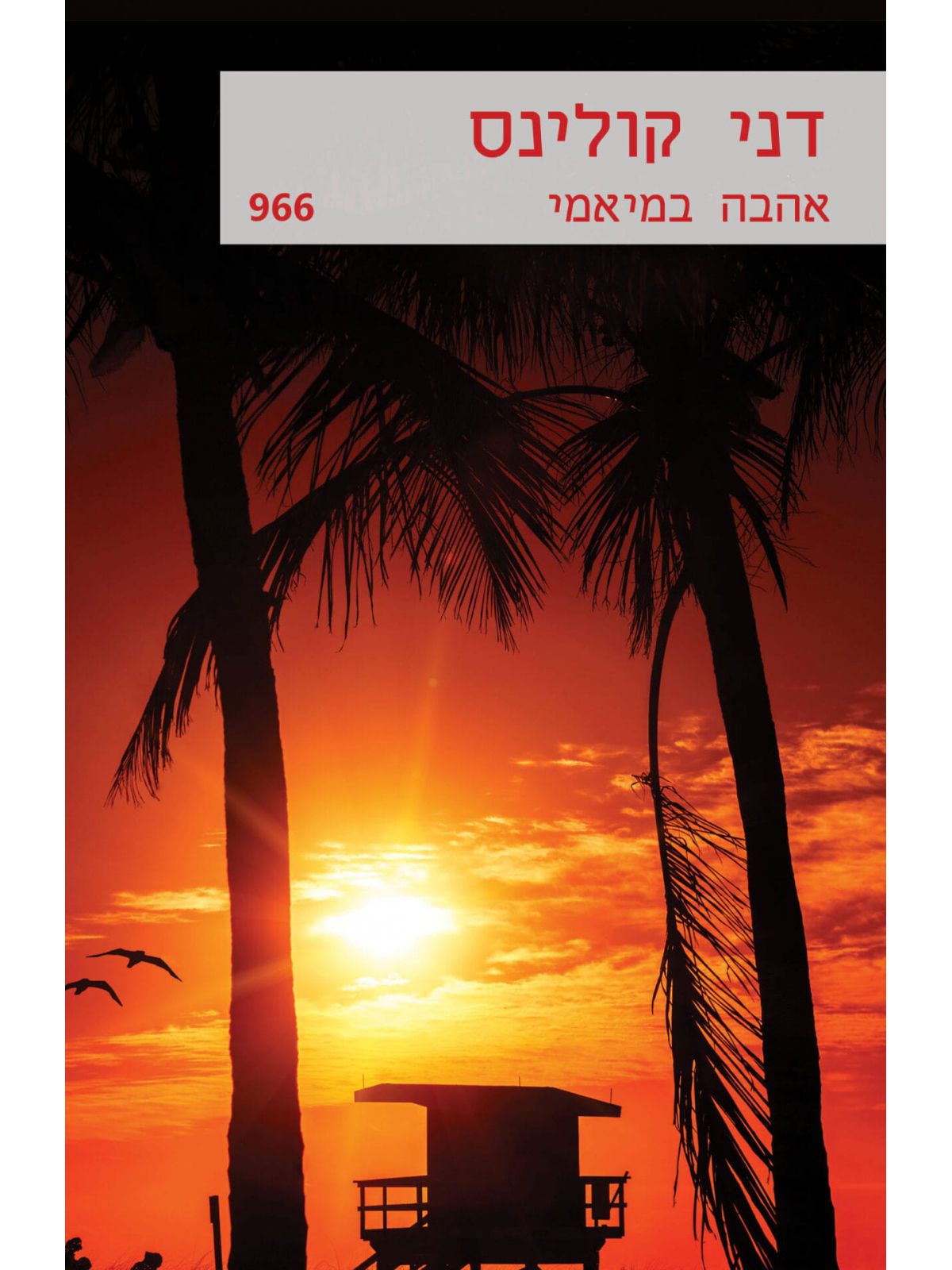 אהבה במיאמי