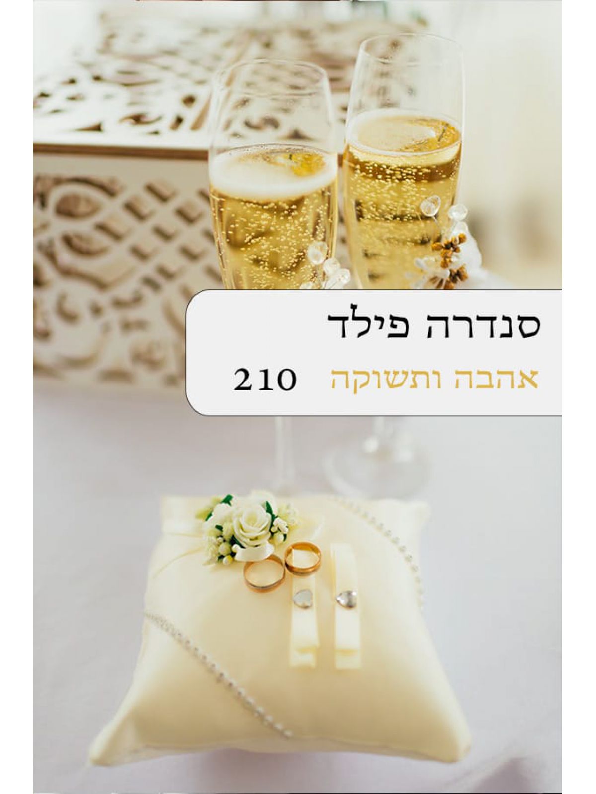 אהבה ותשוקה 210