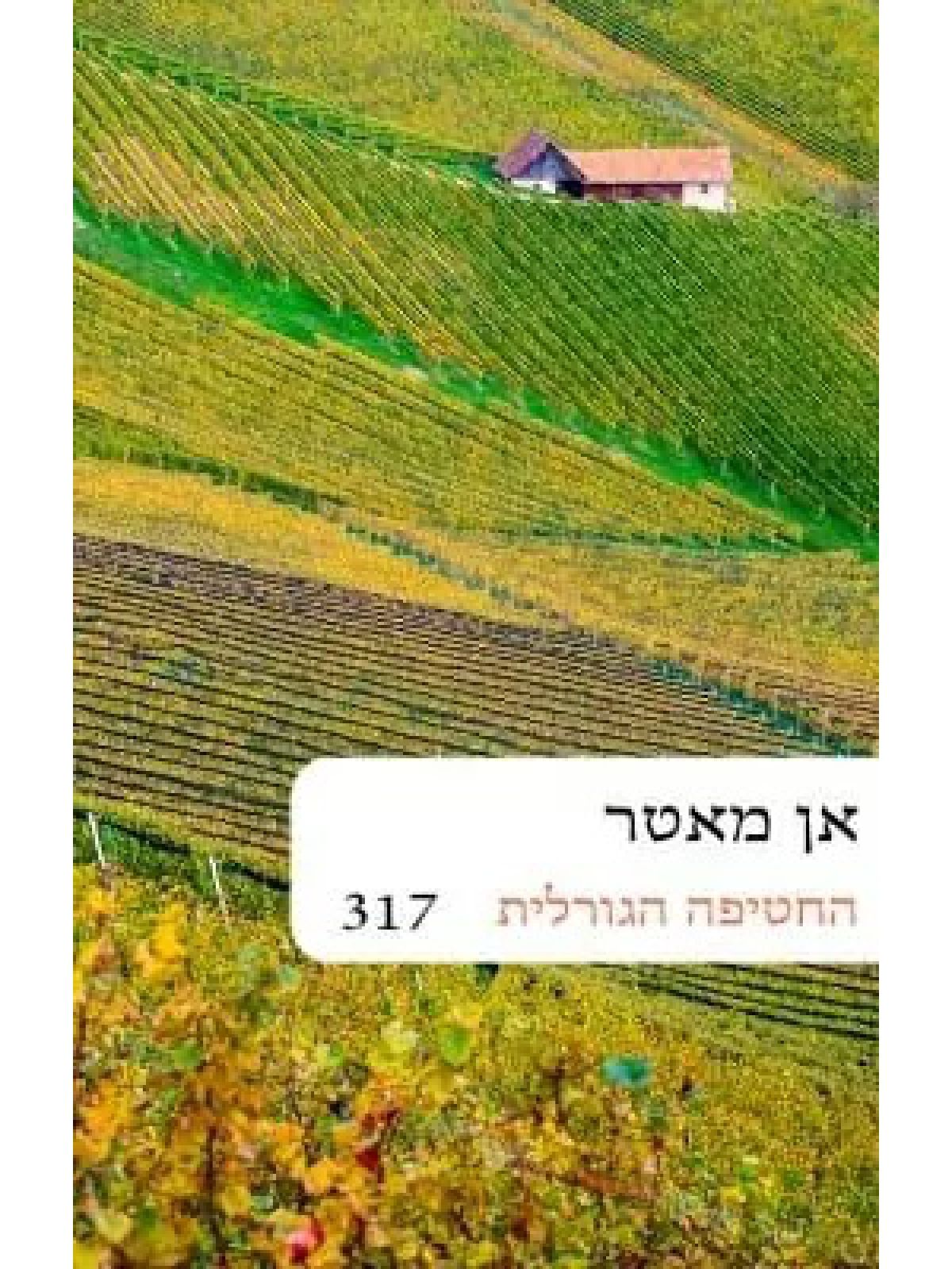 החטיפה הגורלית