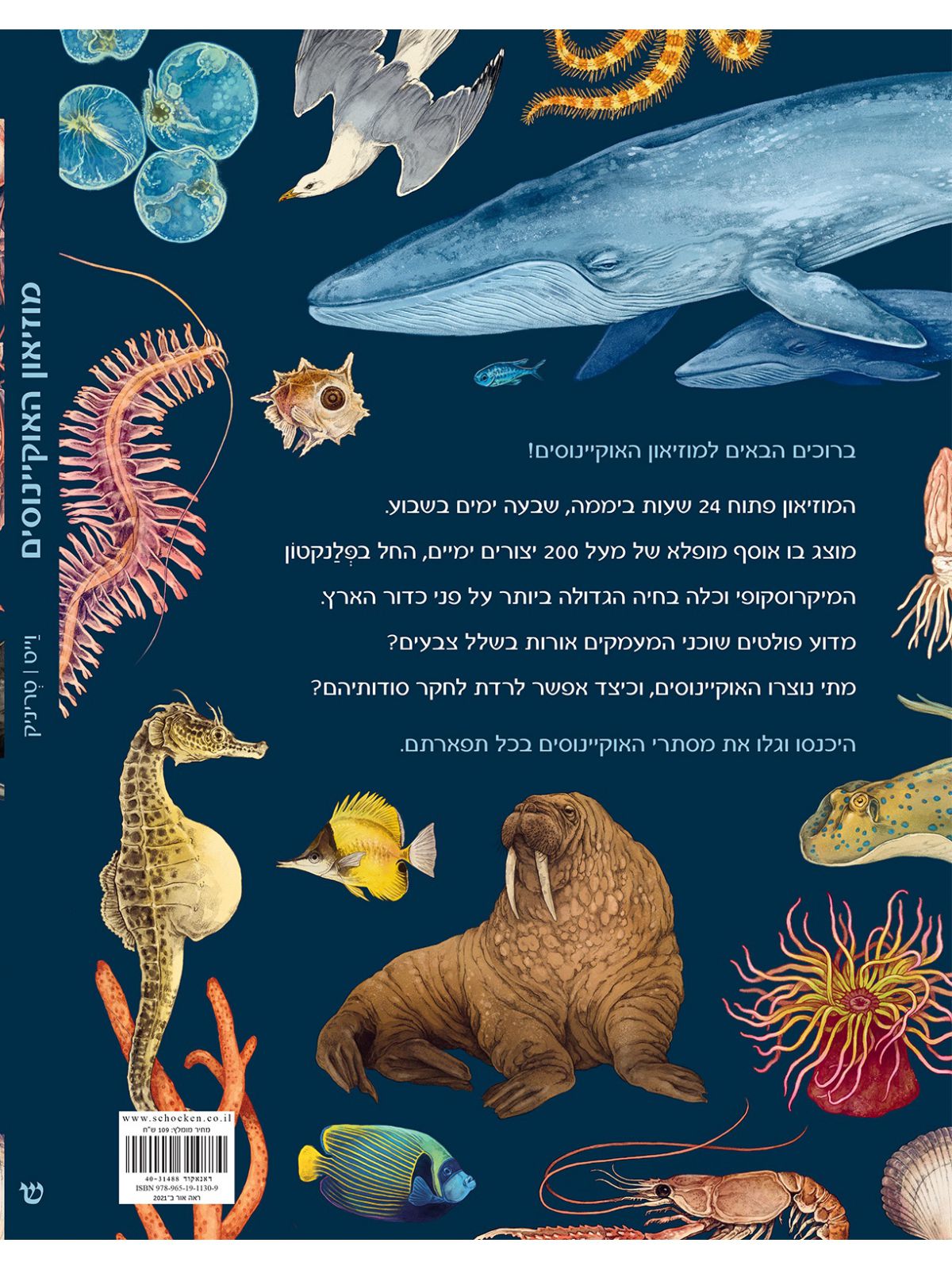 מוזיאון האוקיינוסים