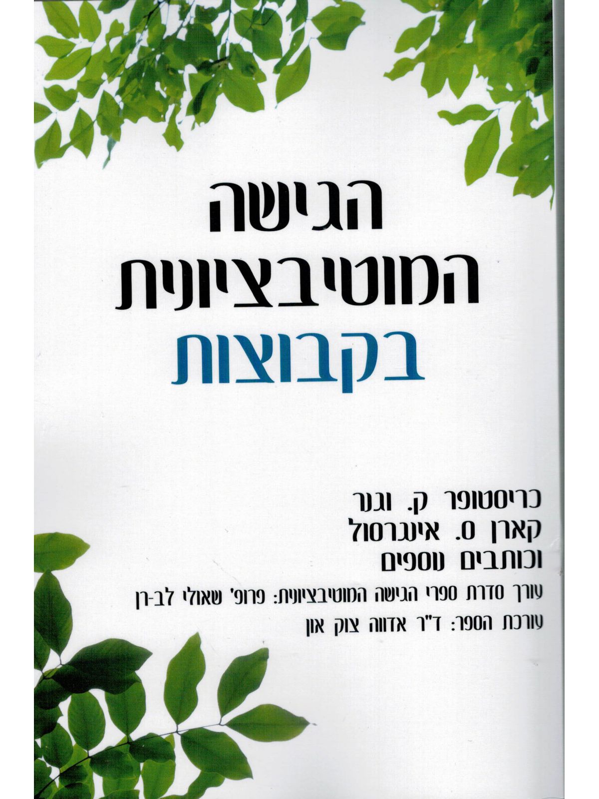 הגישה המוטיבציונית בקבוצות