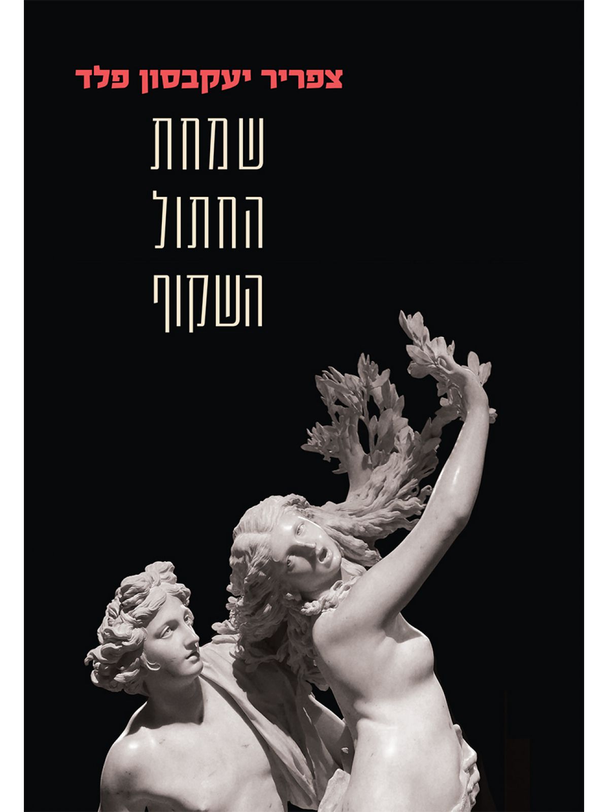 שמחת החתול השקוף