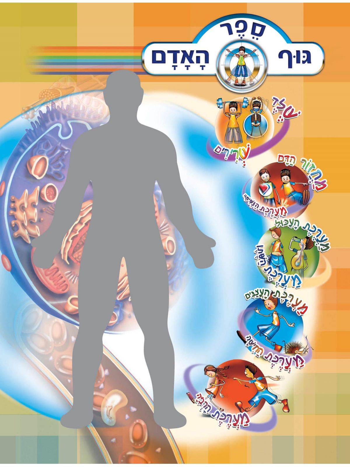 ספר גוף האדם