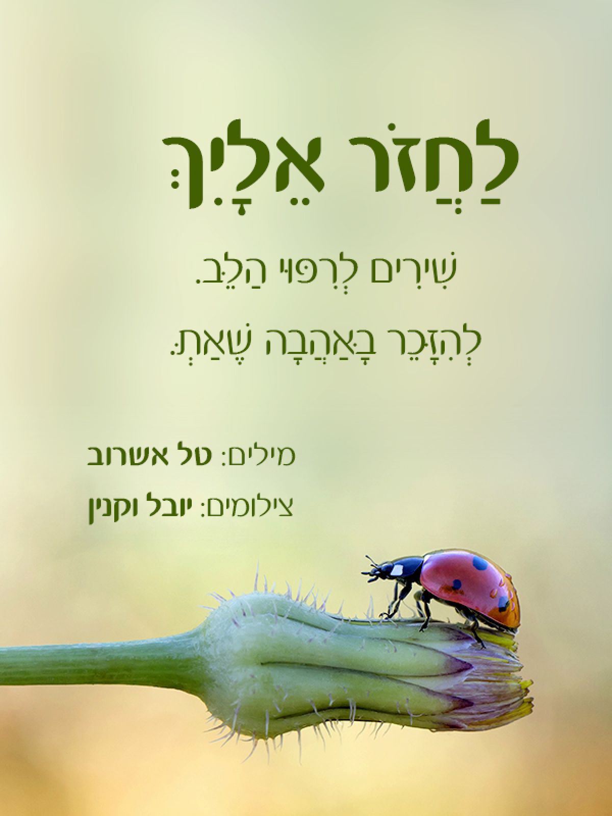 לחזור אליך