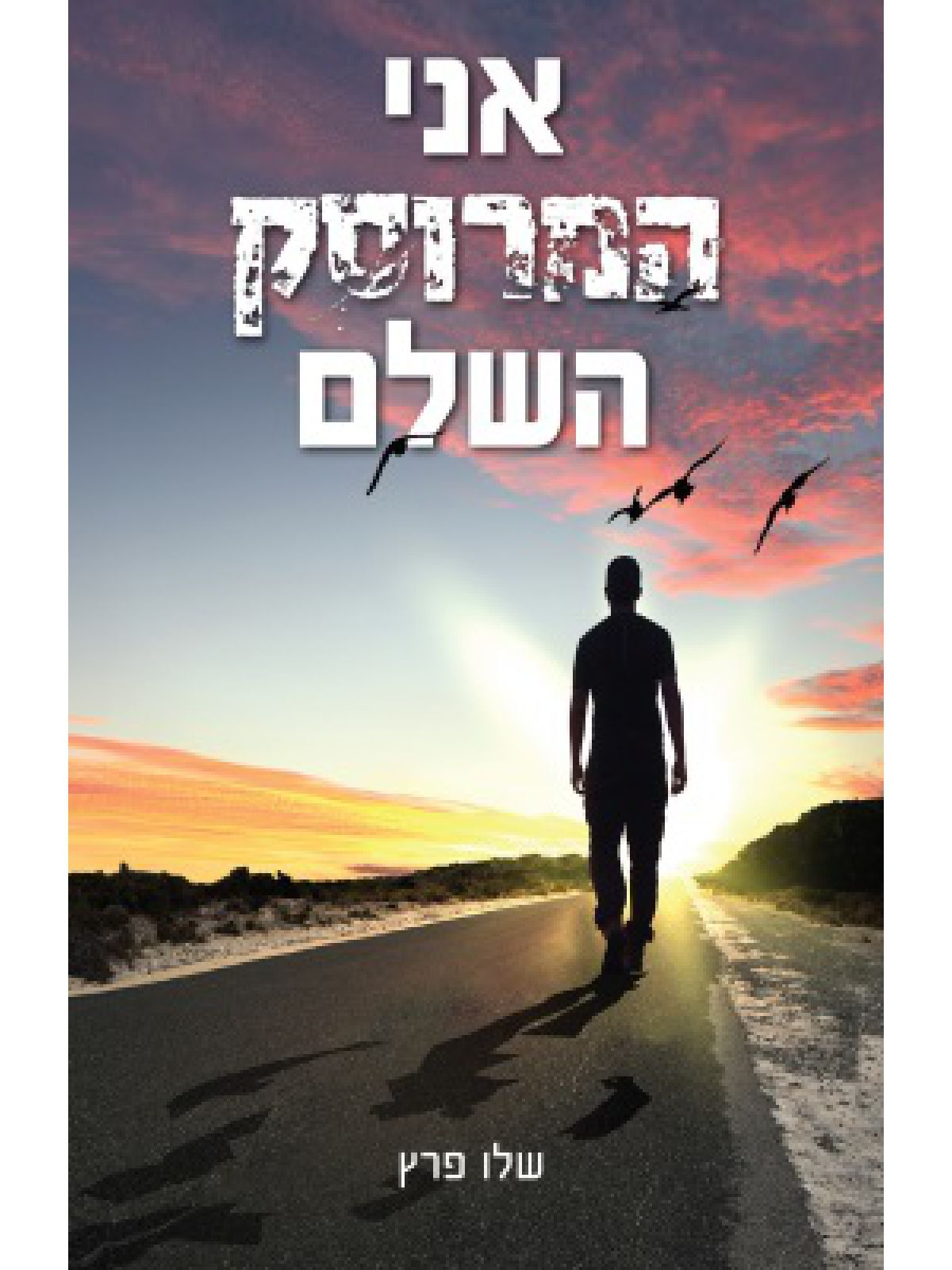 אני המרוסק השלם