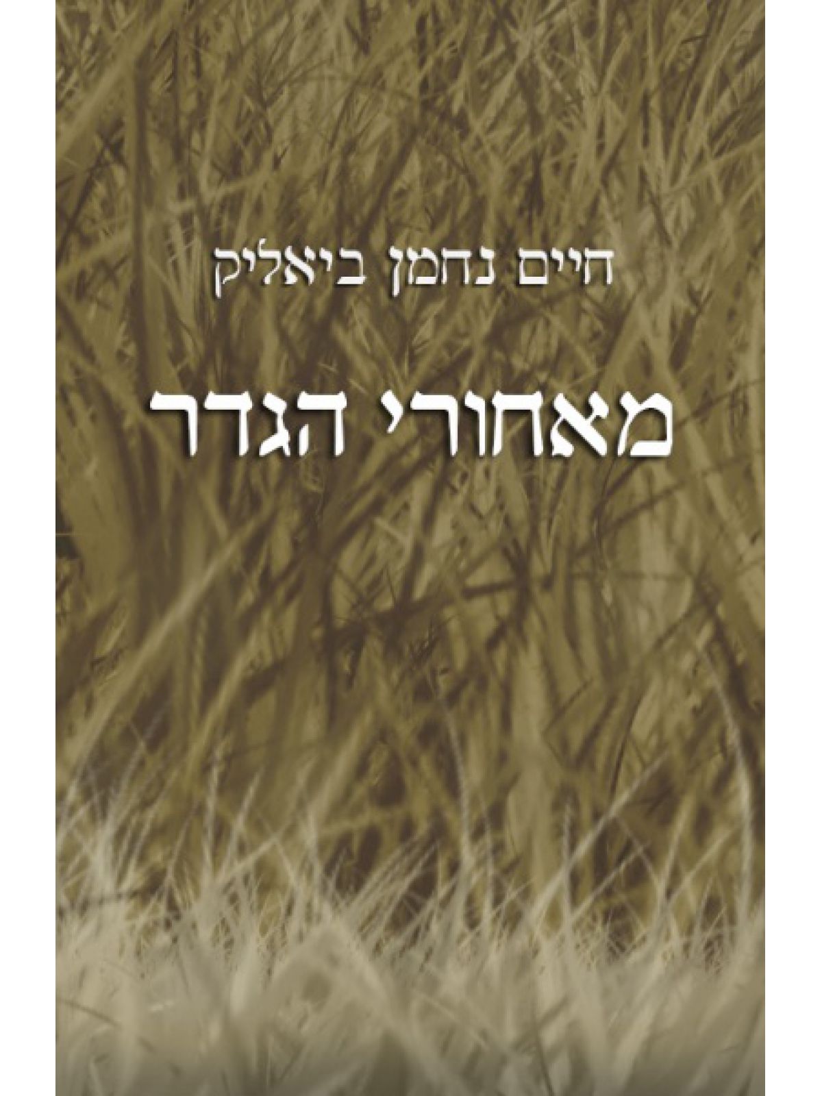 מאחורי הגדר