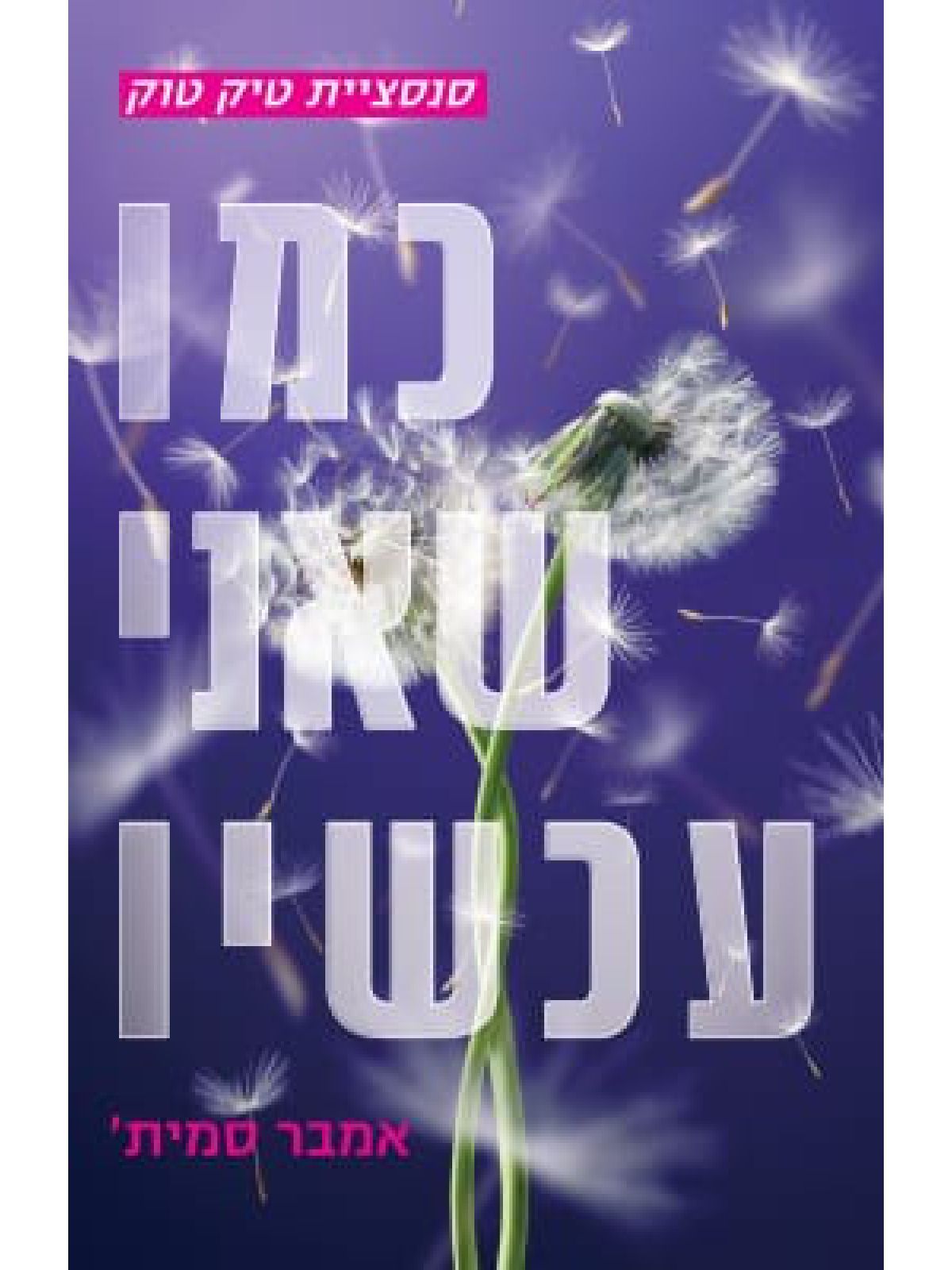 כמו שהייתי פעם 2 כמו שאני עכשיו 2