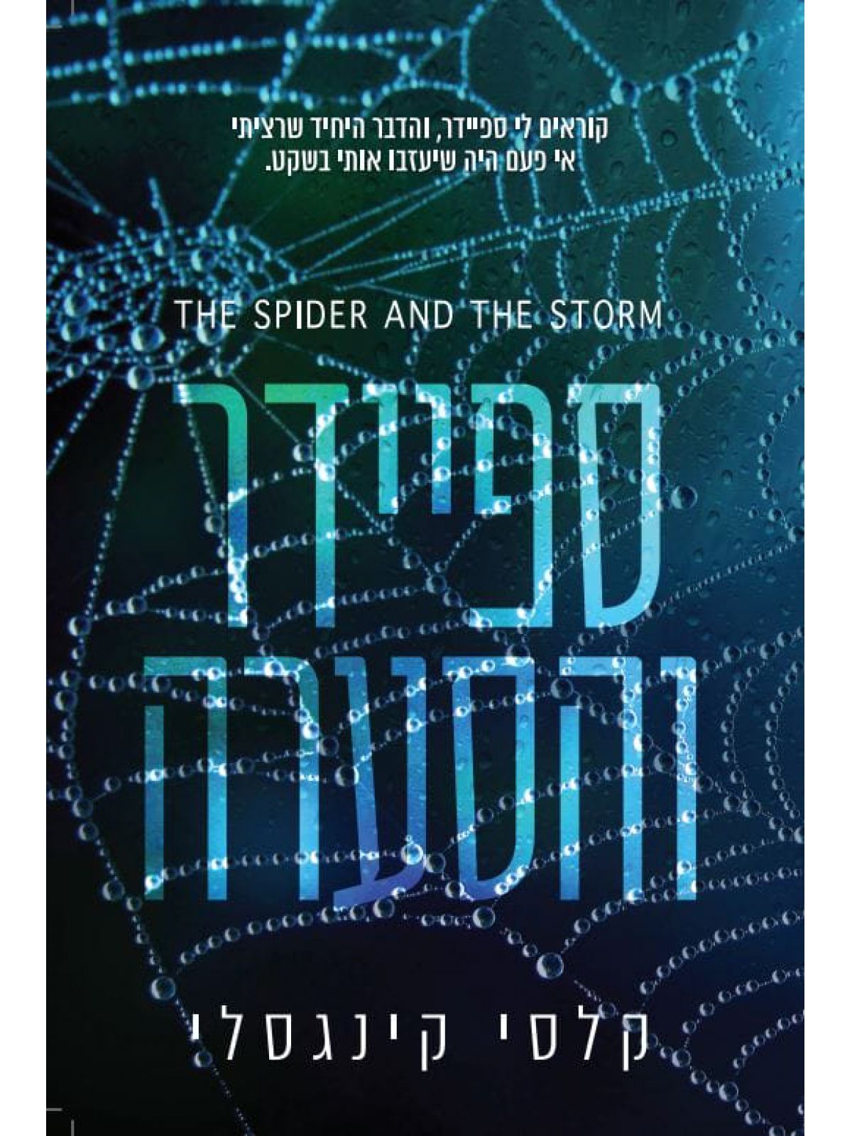 ספיידר והסערה