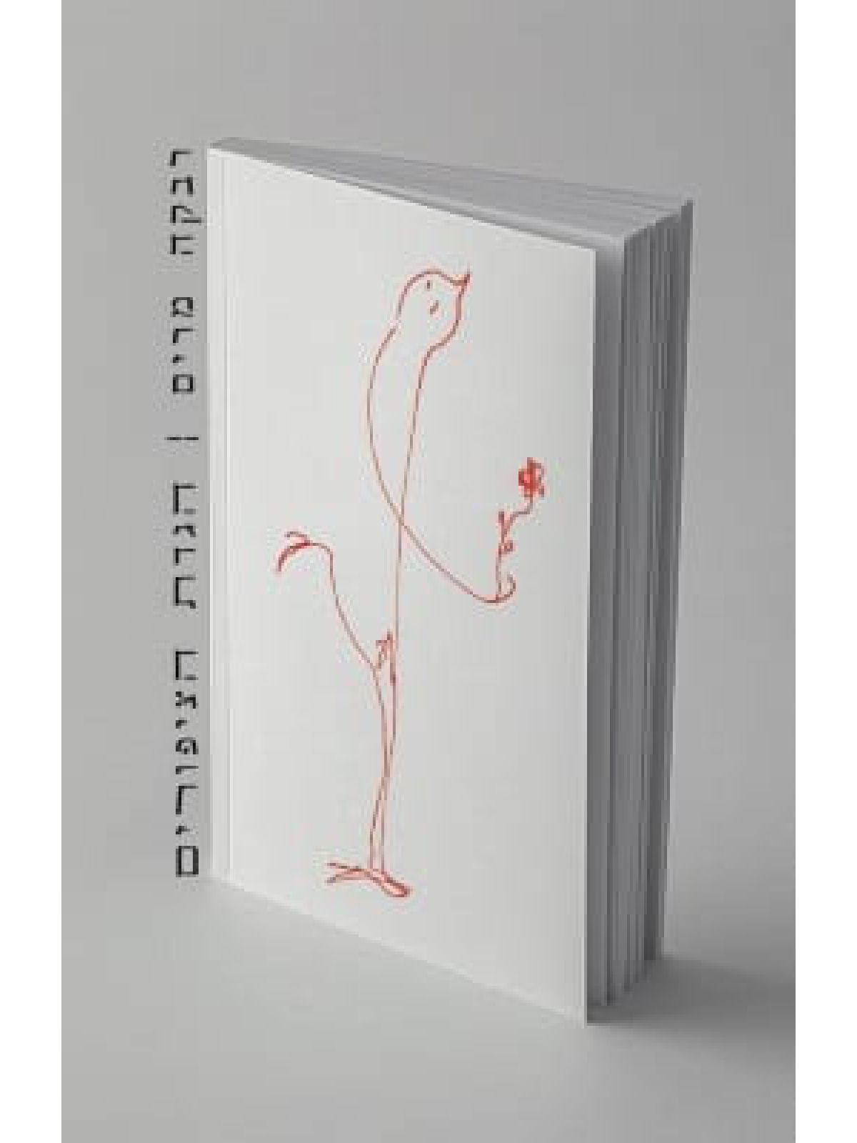 הגדת הציפורים