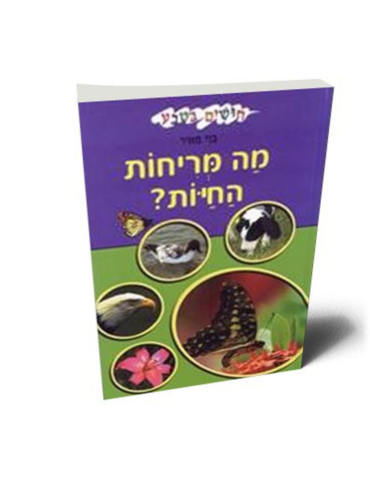 מה מריחות החיות חושים בטבע