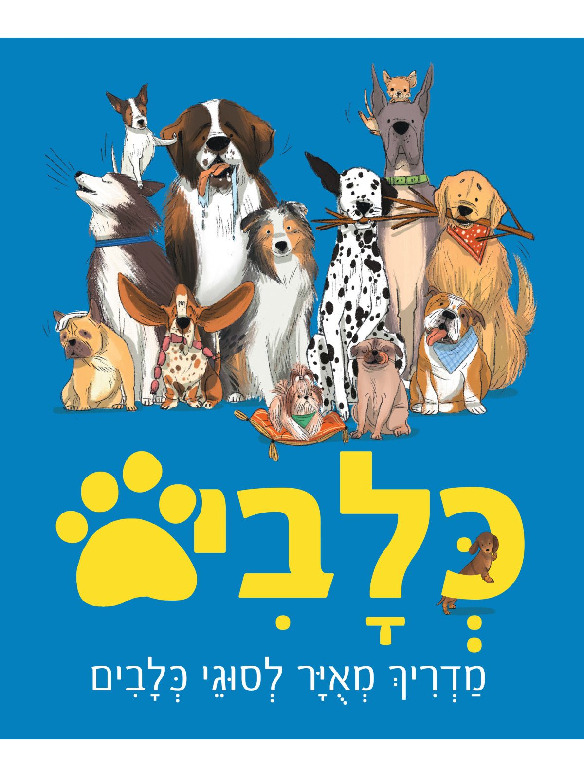 כלבים מדריך מאויר לסוגי כלבים