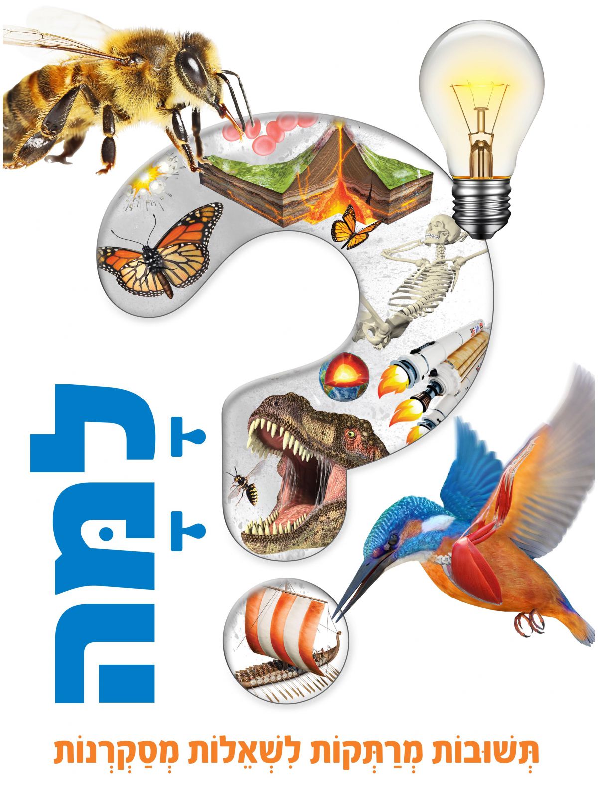 למה תשובות מרתקות לשאלות מסקרנות