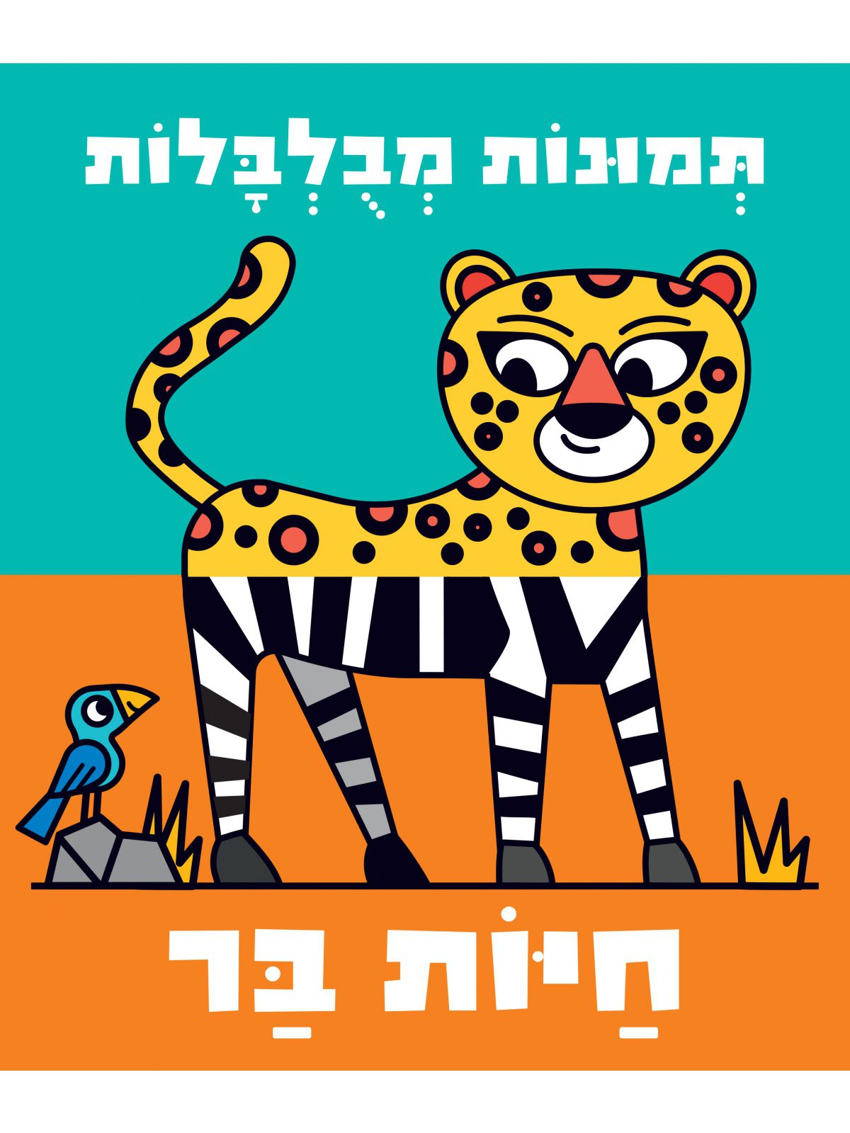 תמונות מבלבלות- חיות בר  דפים עבים