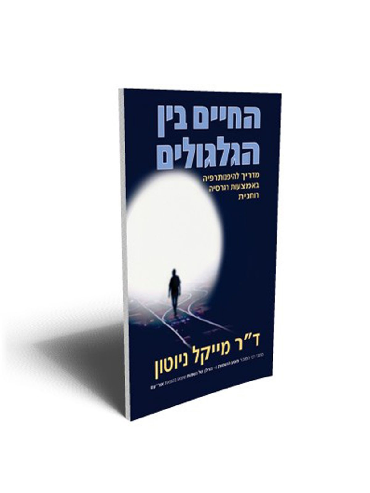 החיים בין הגלגולים