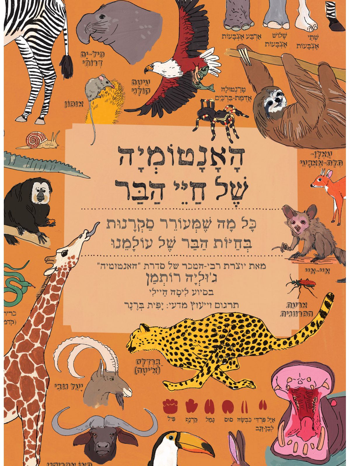 האנטומיה של חיי הבר