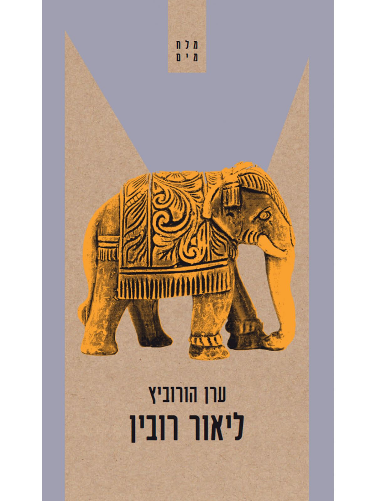 ליאור רובין