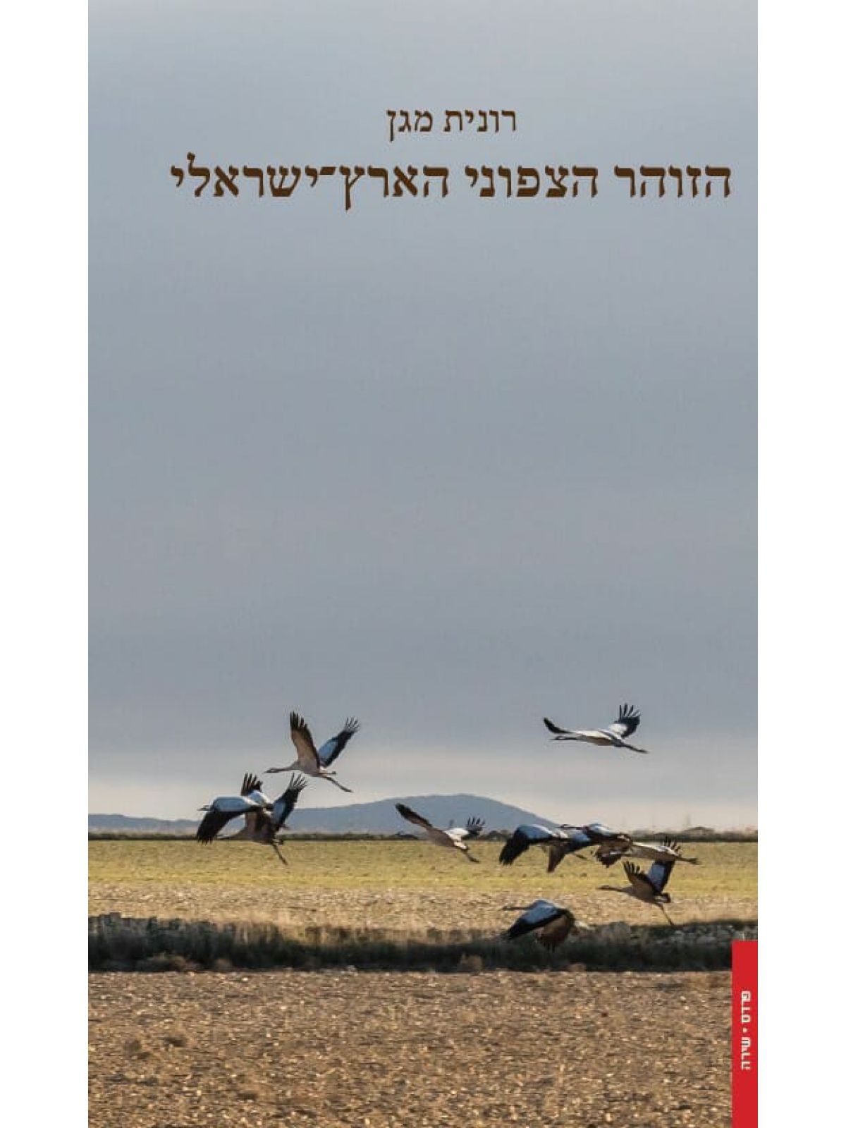 הזוהר הצפוני הארץ ישראלי