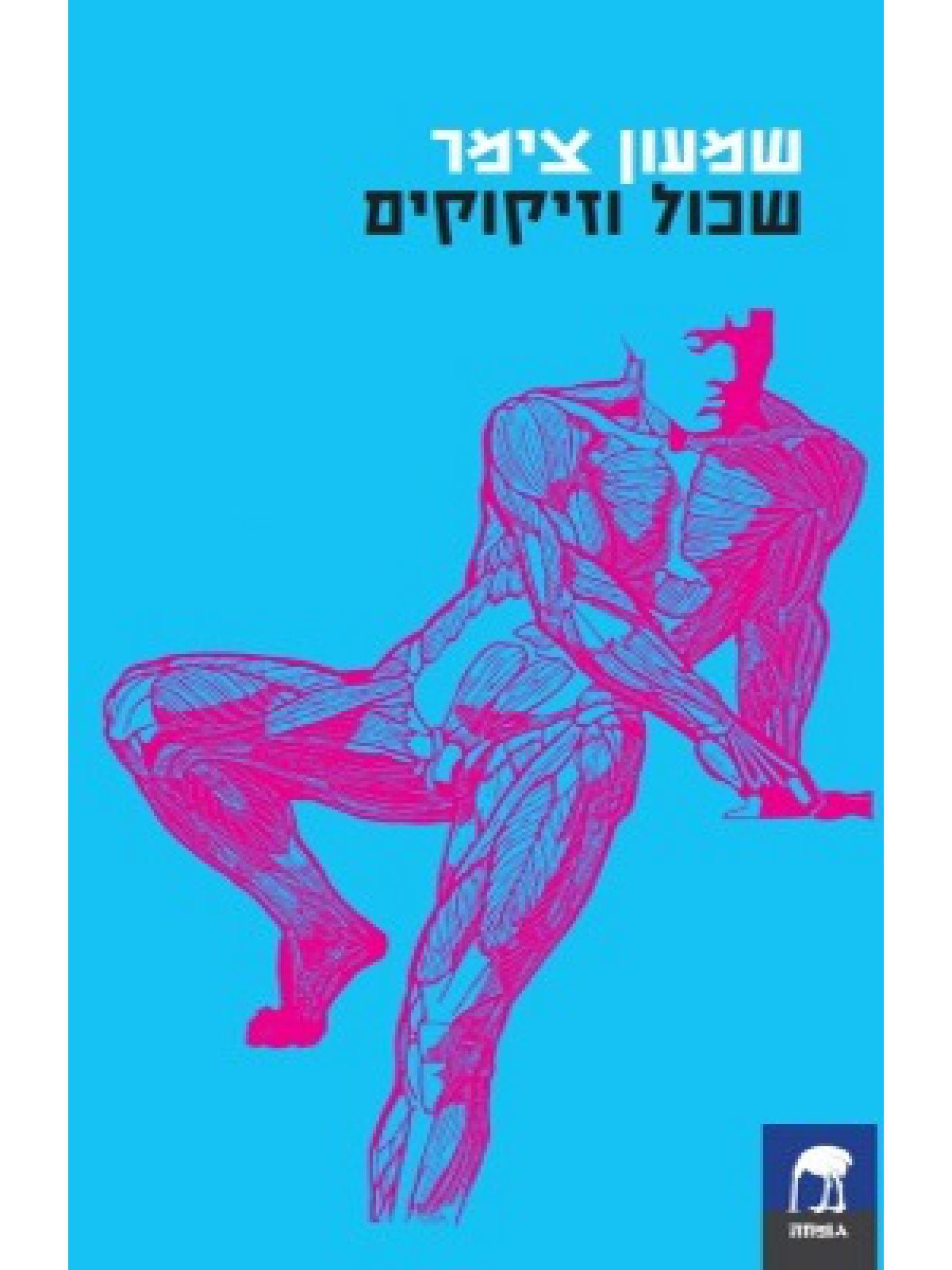 שכול וזיקוקים