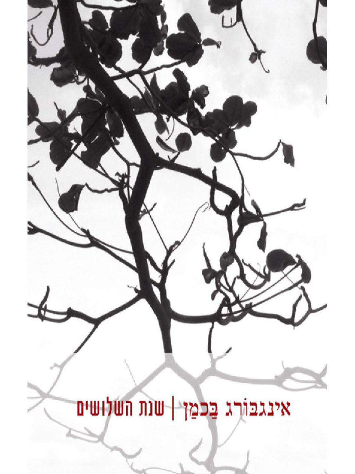 שנת השלושים