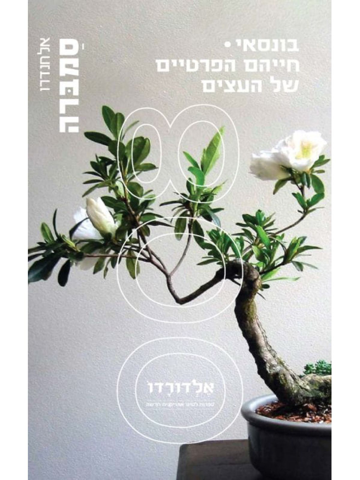 בונסאי חייהם הפרטיים של העצים