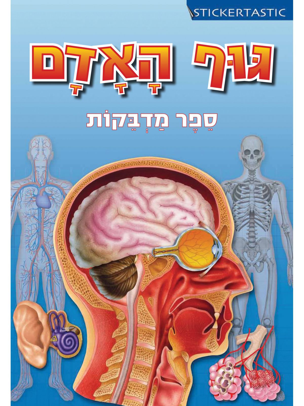 גוף האדם ספר מדבקות