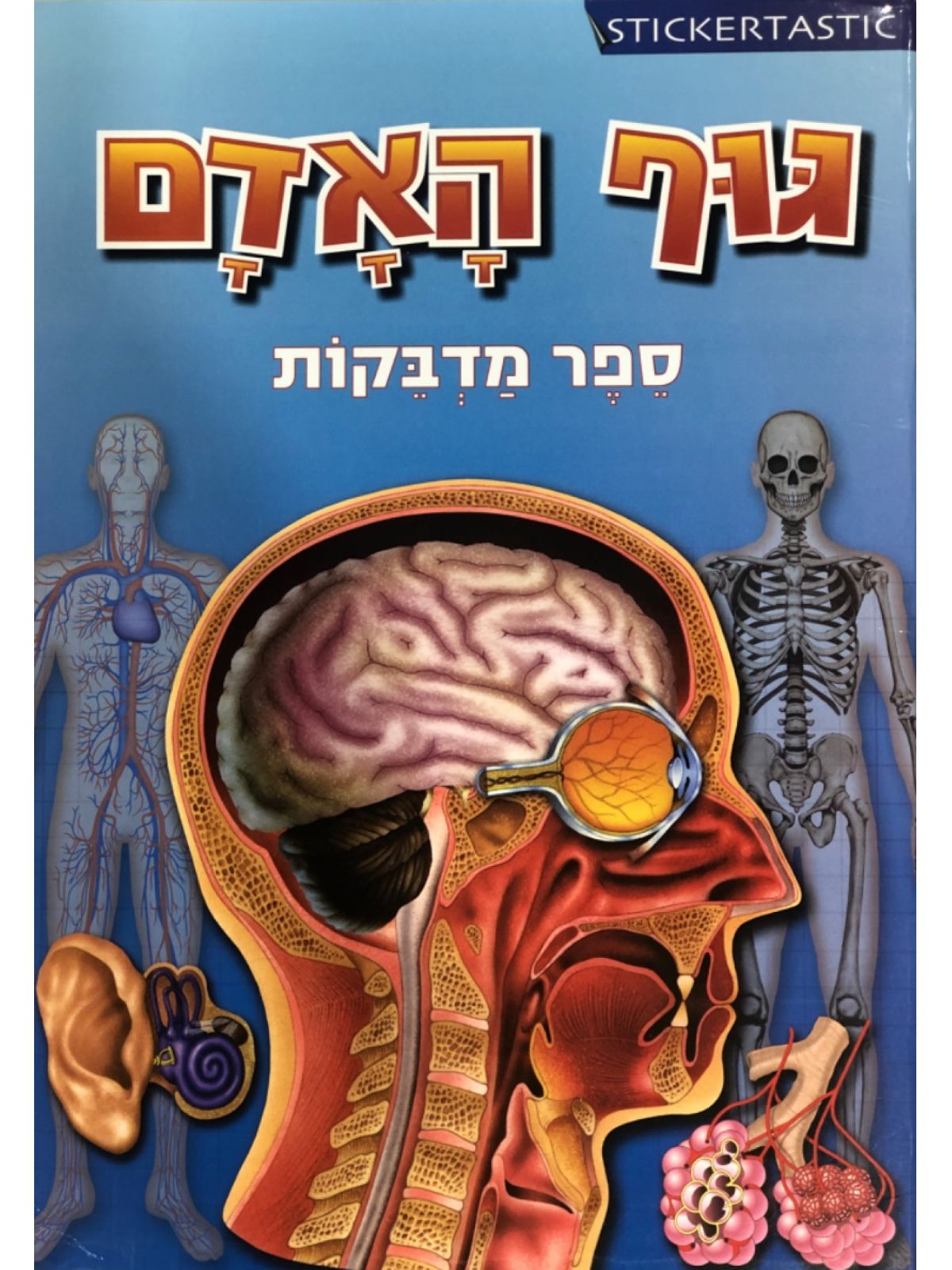 גוף האדם ספר מדבקות