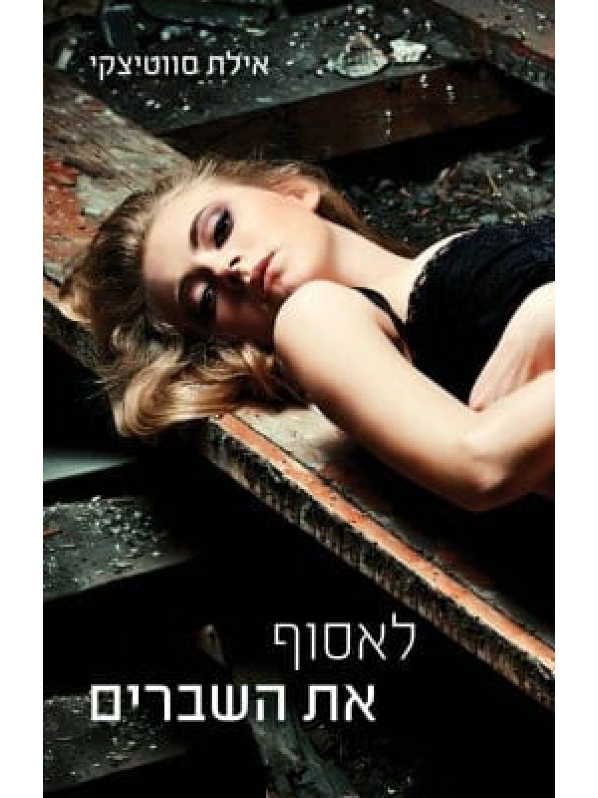 לאסוף את השברים 1