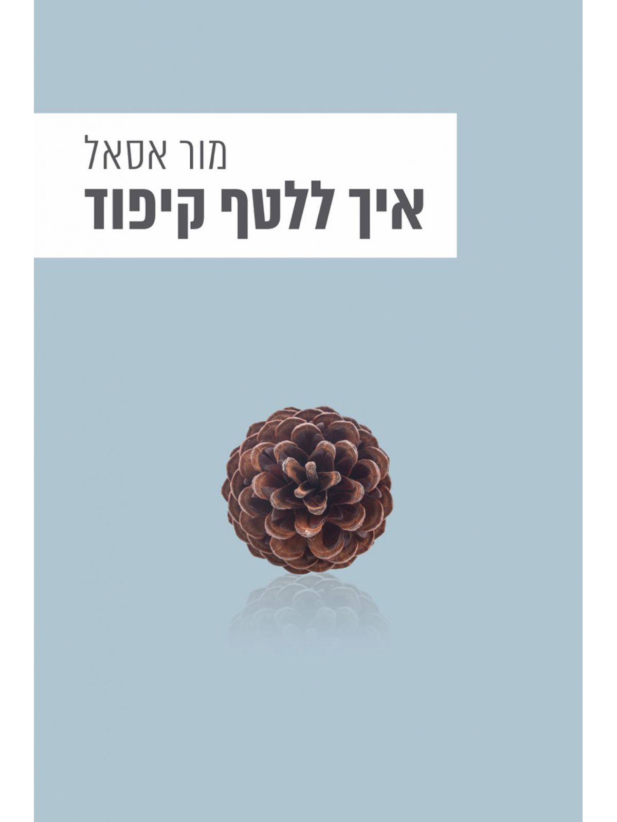 איך ללטף קיפוד