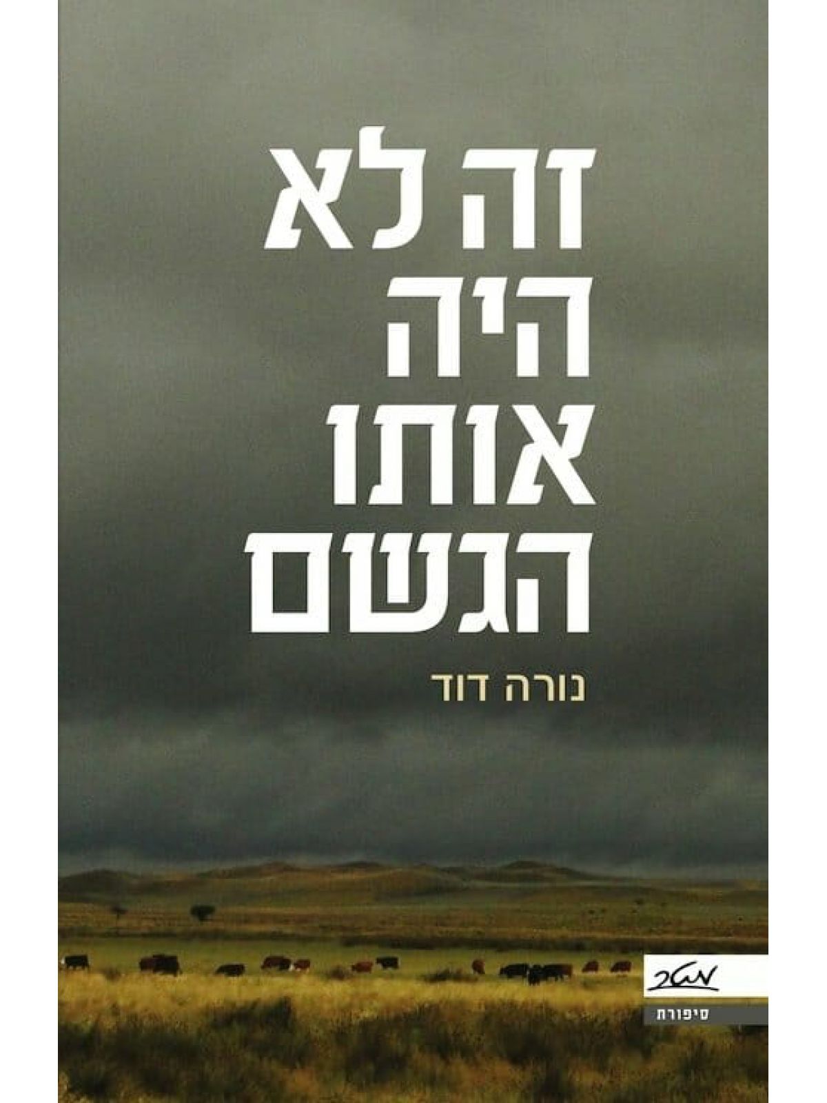זה לא אותו הגשם