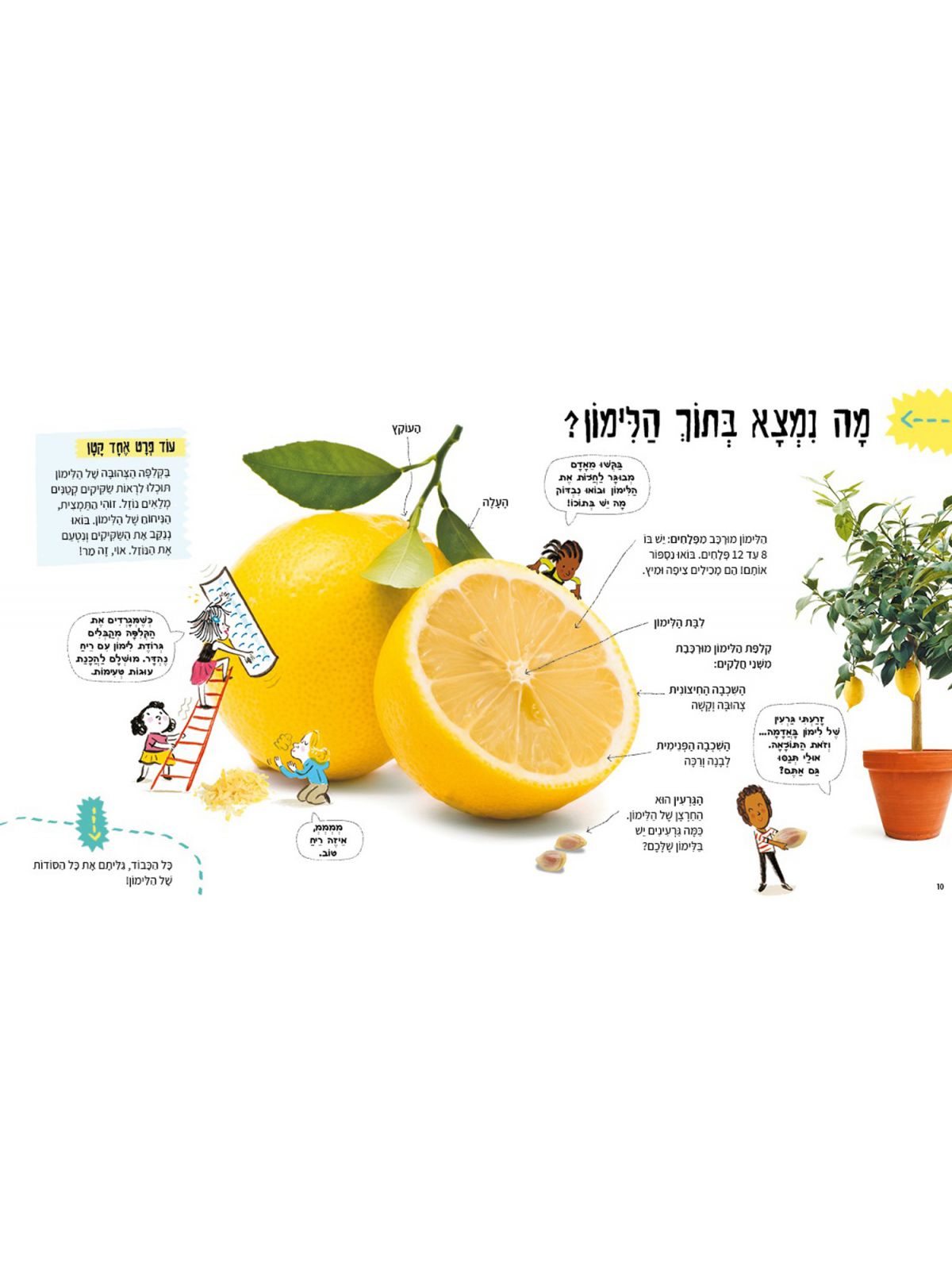 המדע על פי הלימון