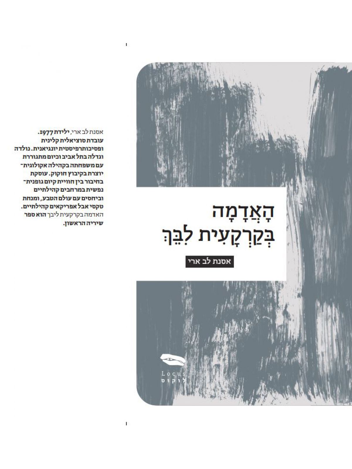 האדמה בקרקעית לבך