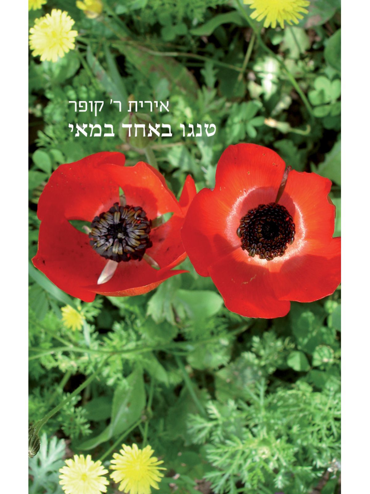 טנגו באחד במאי