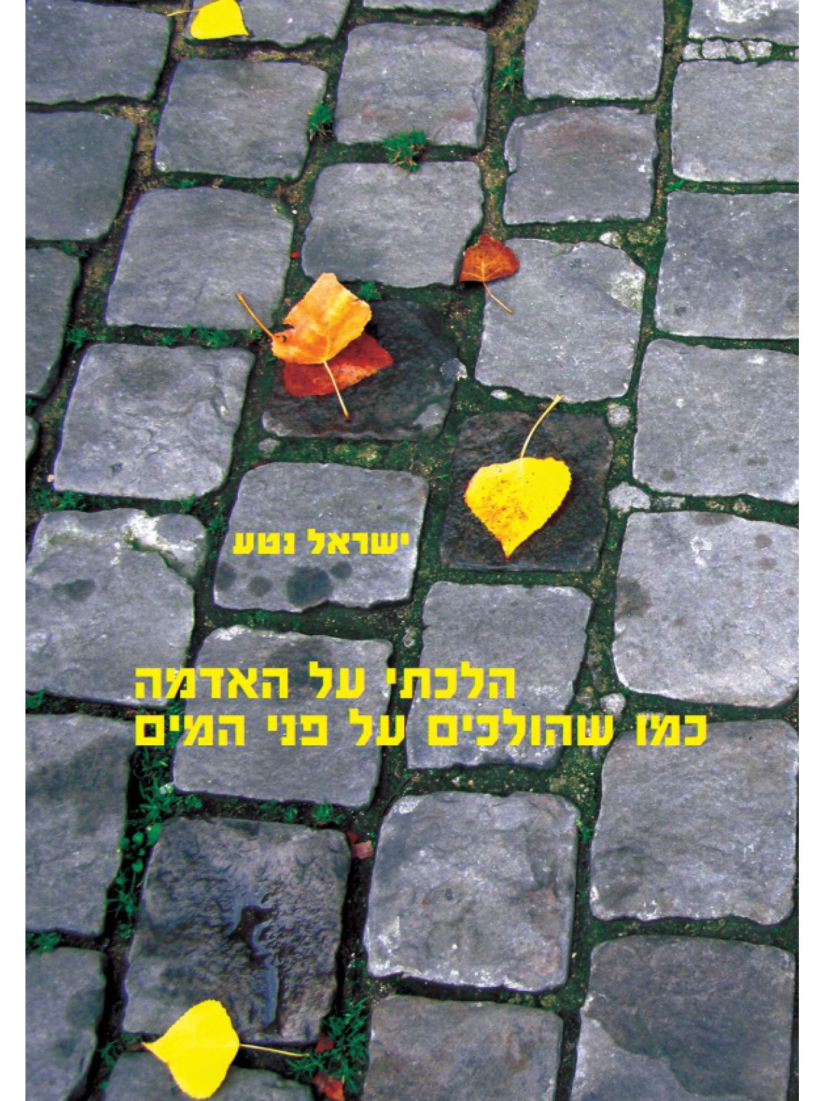 הלכתי על האדמה כמו שהולכים על פני המים