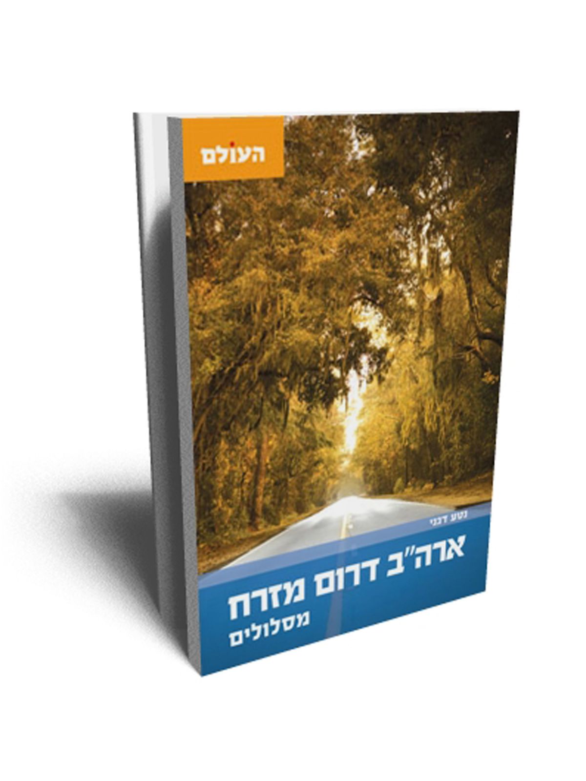 ארה”ב דרום מזרח מסלולים