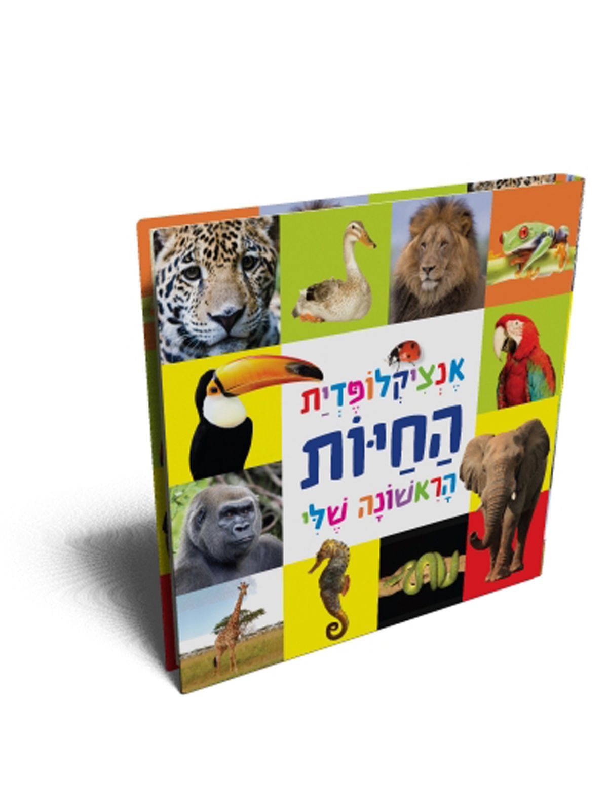 אנציקלופדית החיות הראשונות שלי