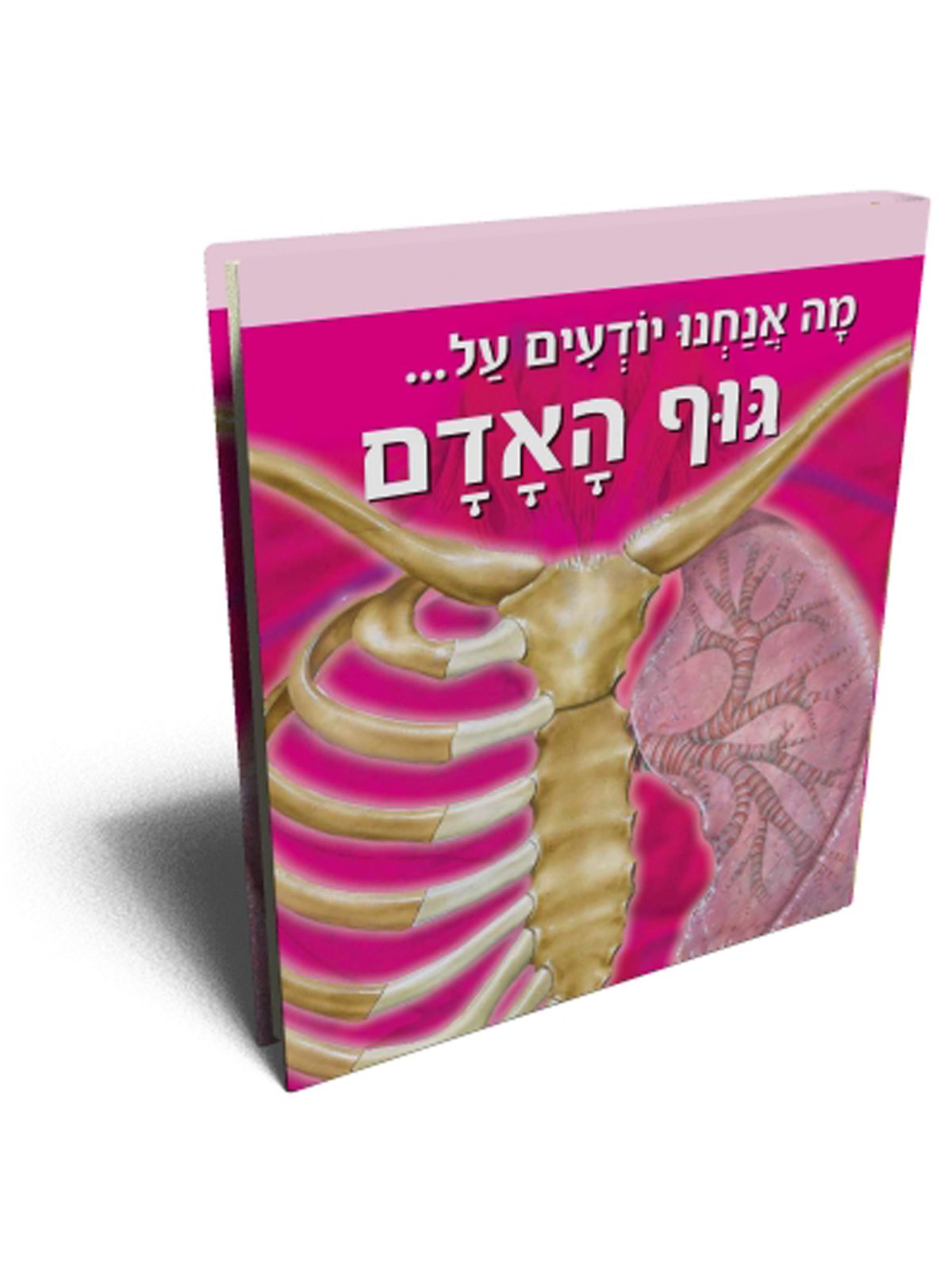 מה אנחנו יודעים על גוף האדם