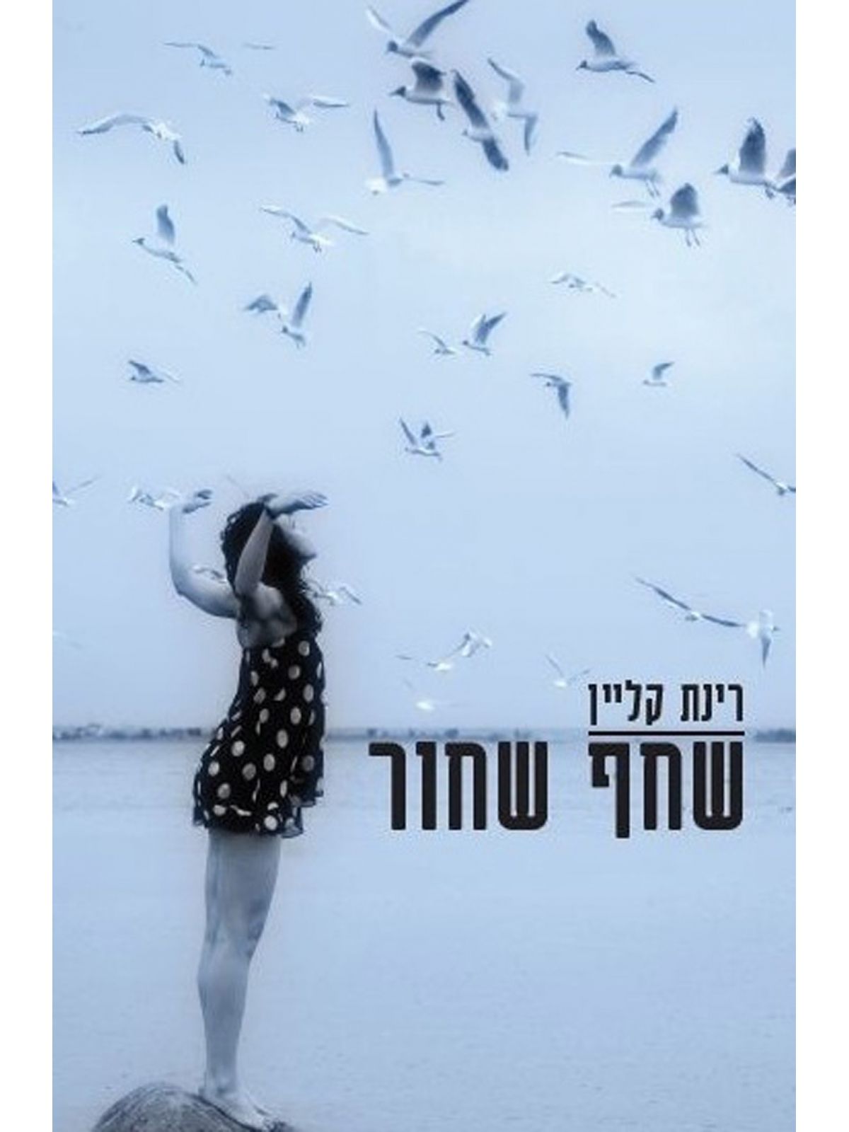 שחף שחור