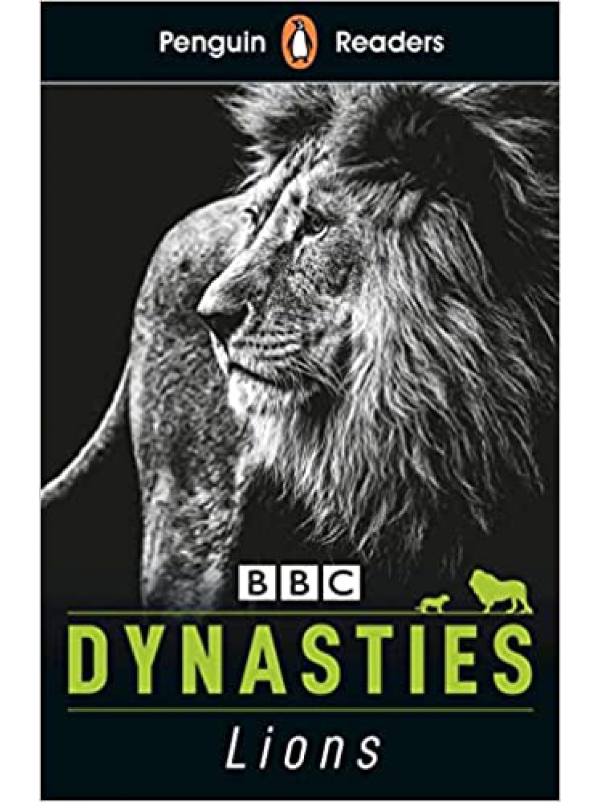L1 DYNASTIES LIONS