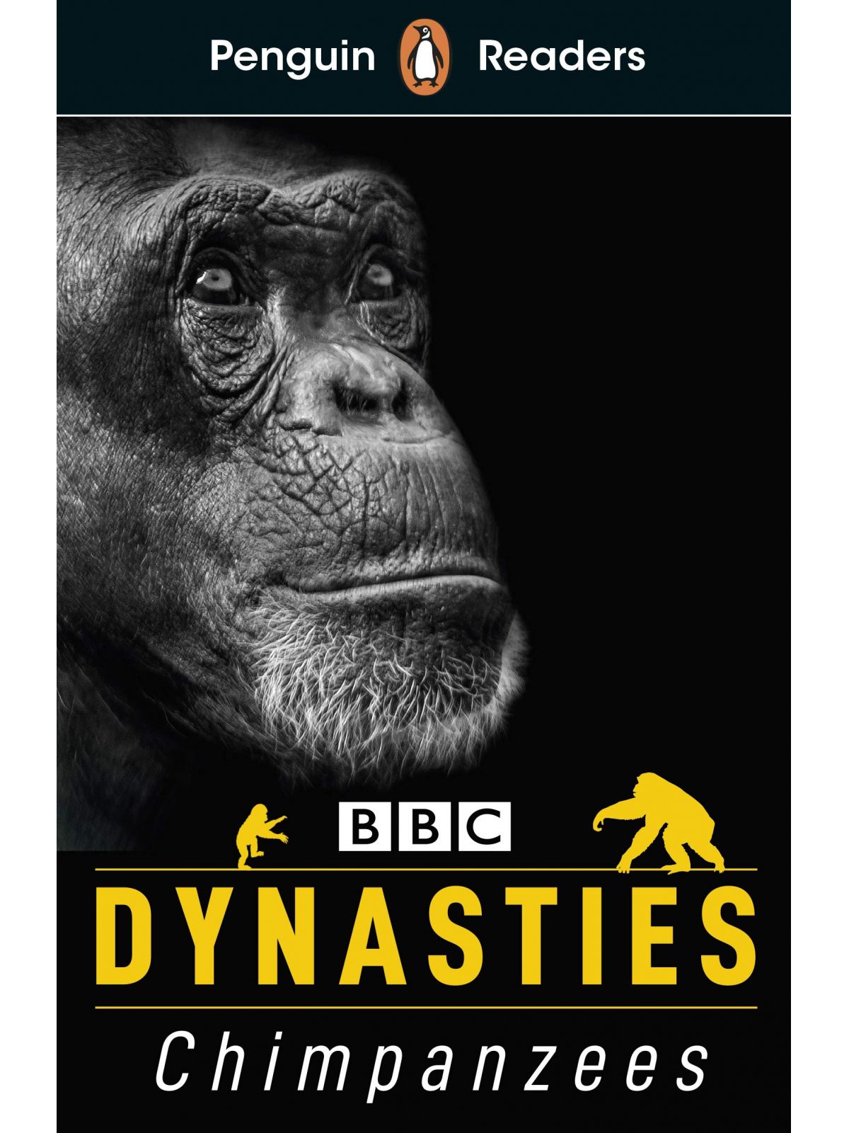 L3 DYNASTIES CHIMPANZEES