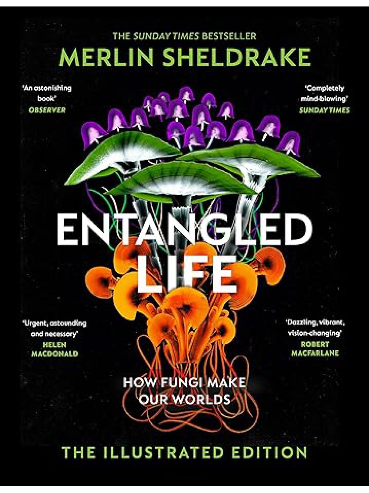 ENTANGLED  LIFE (ILLUST)