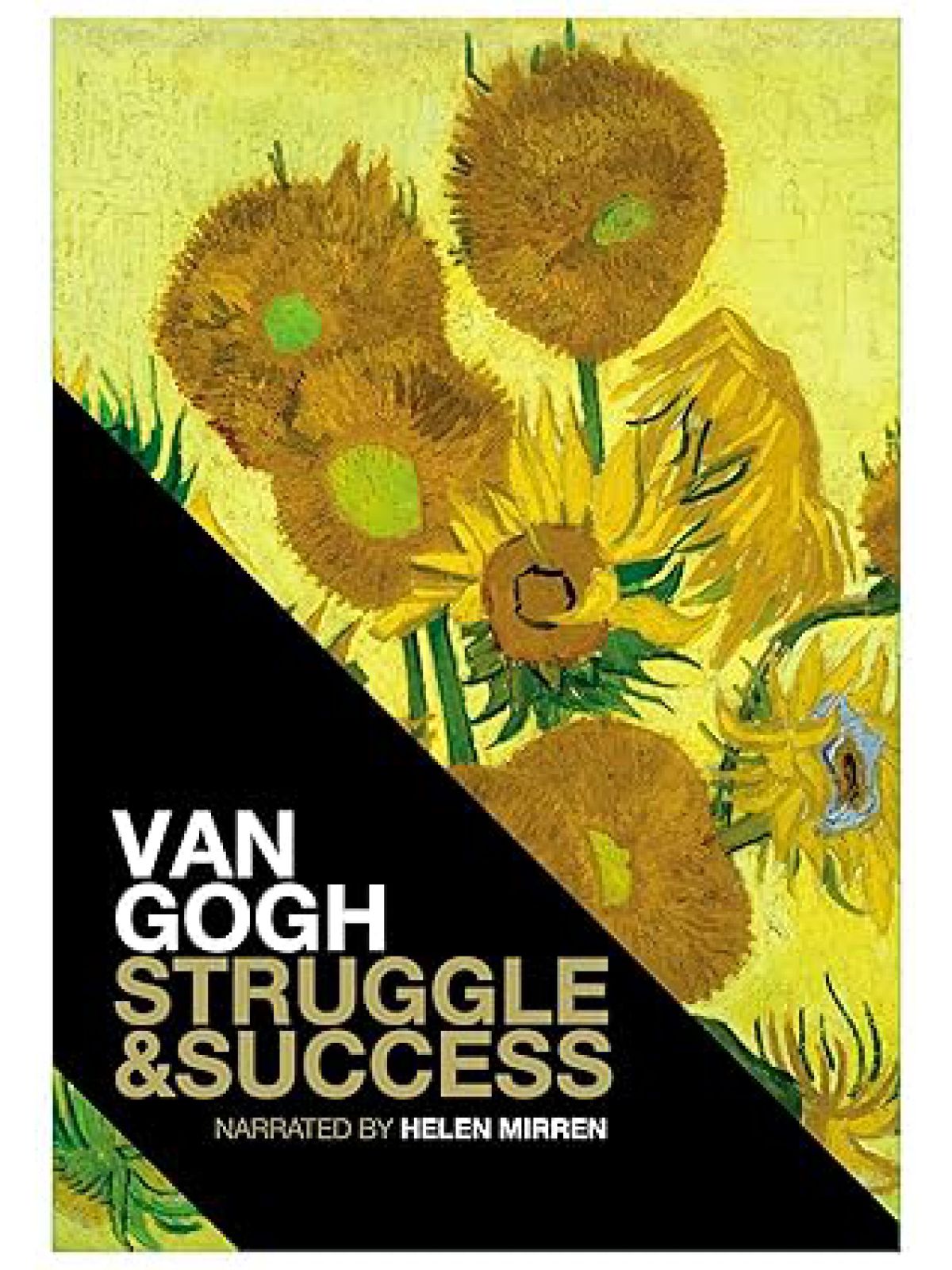 VINCENT VAN GOGH: THE WORK  THE MAN  THE VISIONARY