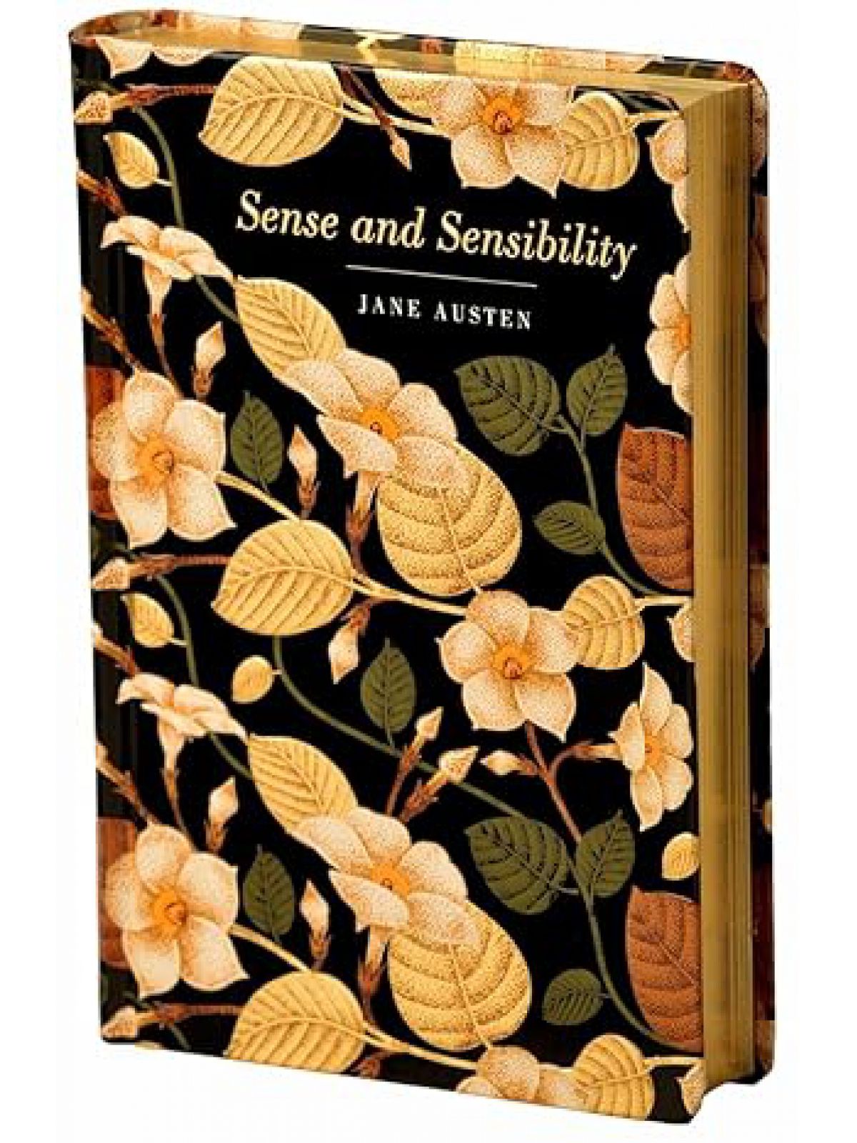 CHILTERN CLASSICS: SENSE & SENSIBILITY