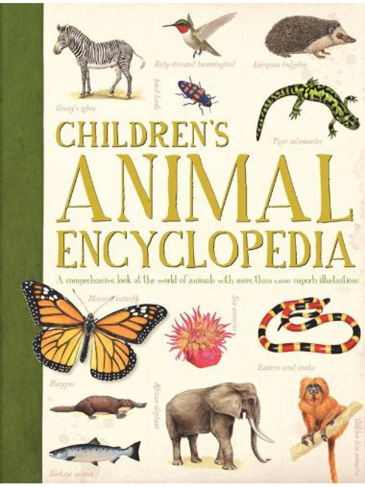 CHILDRENS ANIMAL ENCYCLOPEDIA