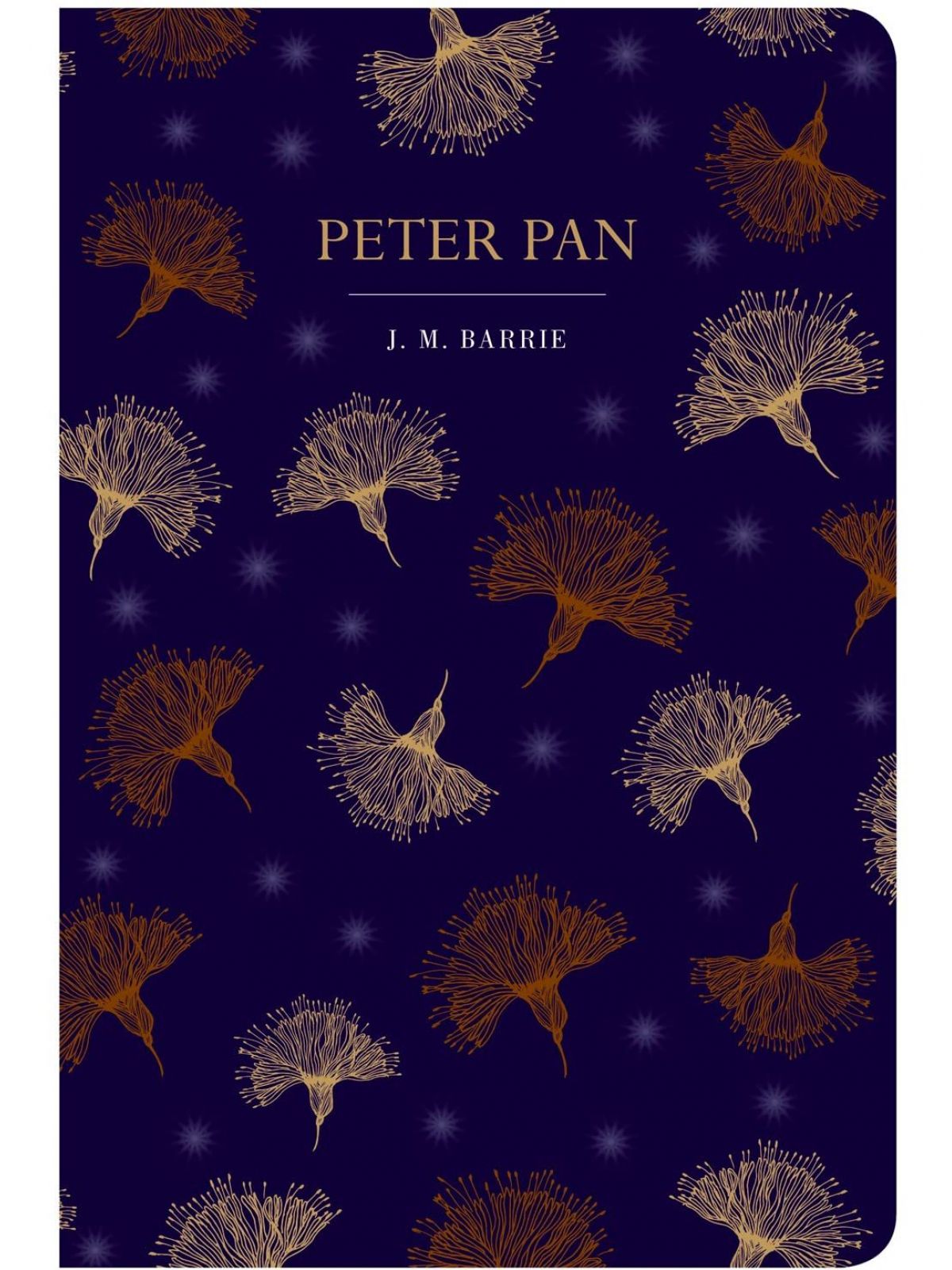 CHILTERN CLASSICS PETER PAN