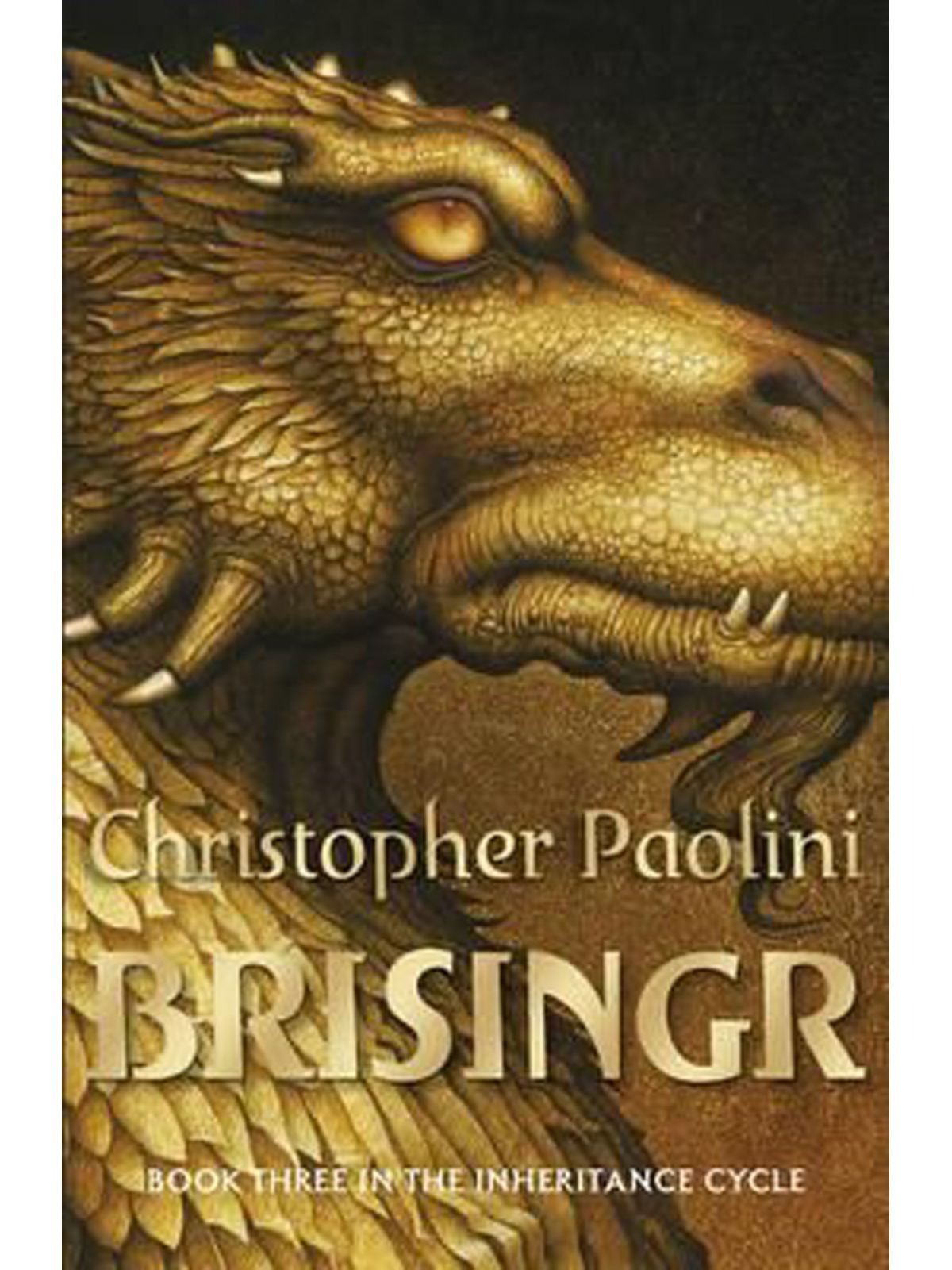 BRISINGR (BK 3)